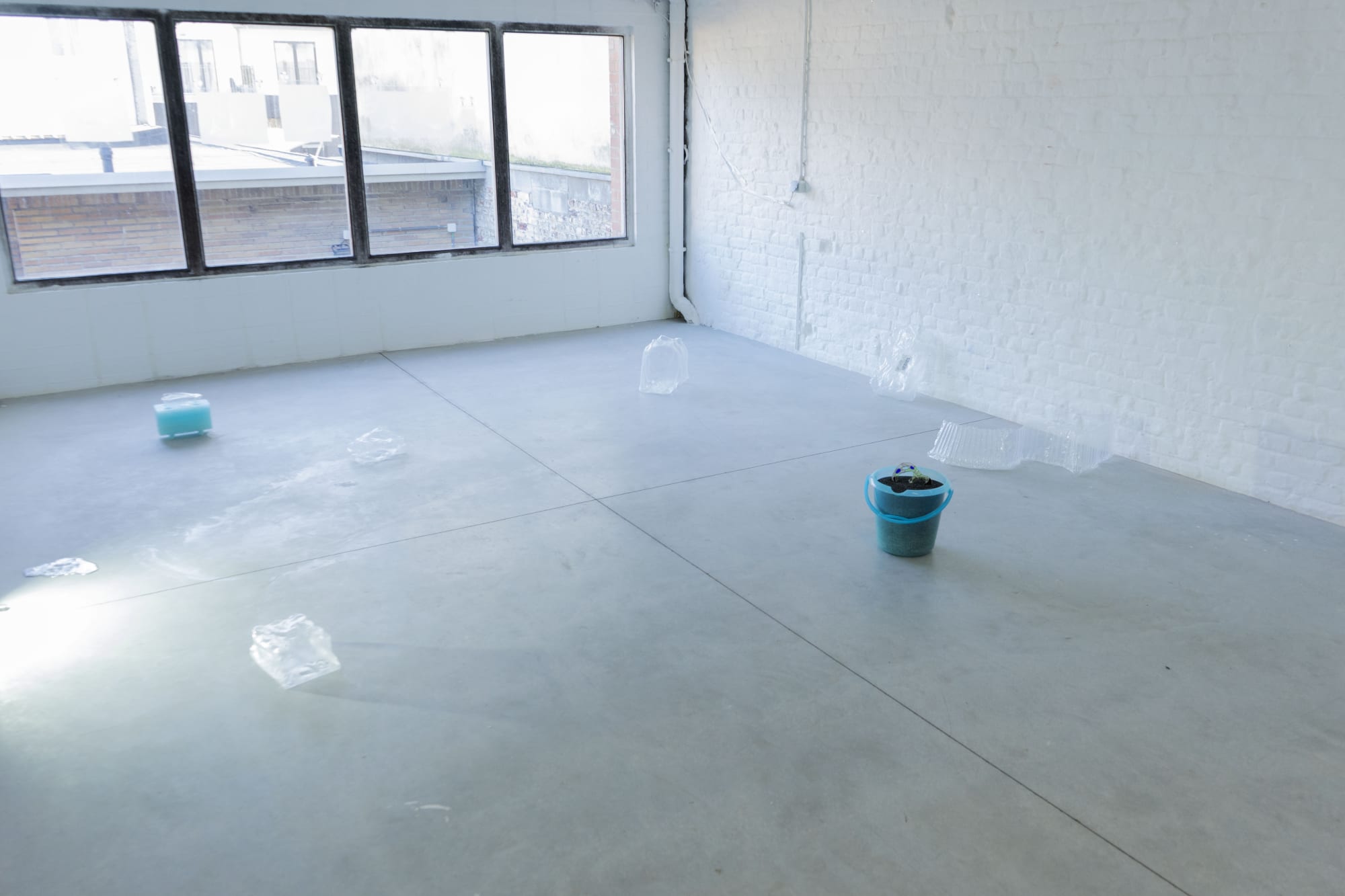 photography Flavia Antoniazzi, © MONTORO12 Gallery