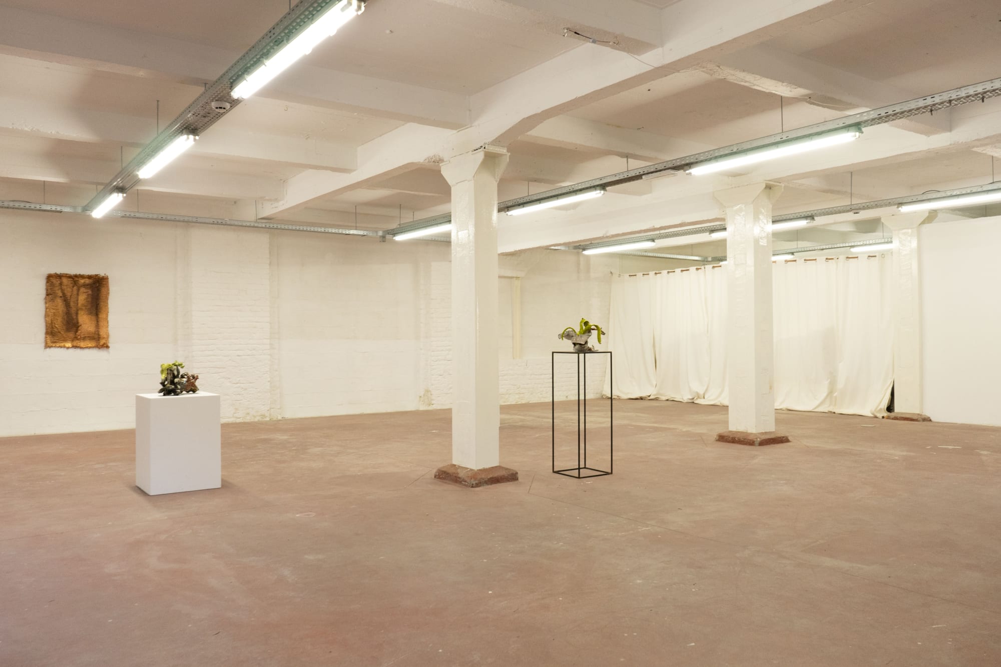 photography Flavia Antoniazzi, © MONTORO12 Gallery