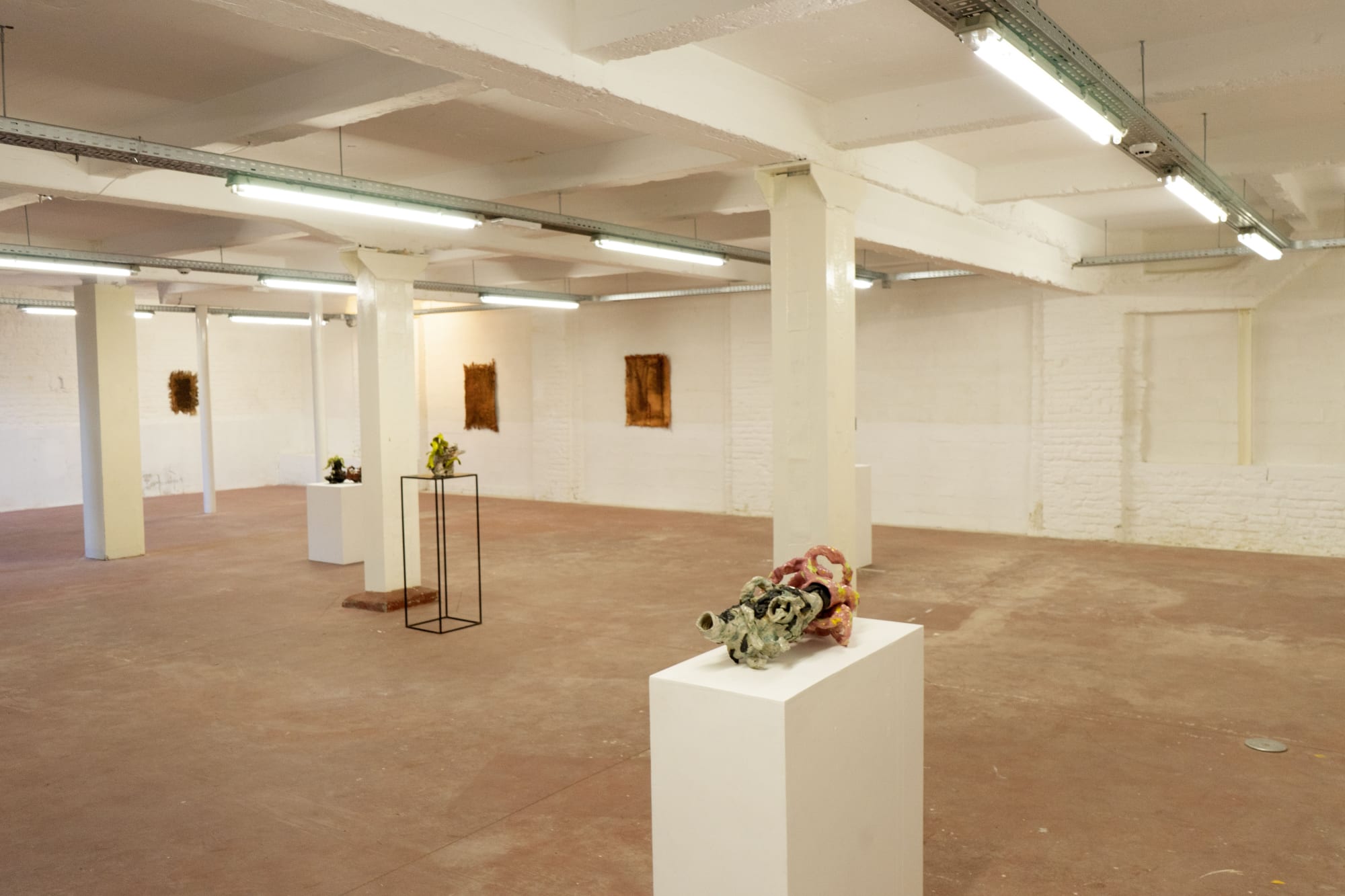 photography Flavia Antoniazzi, © MONTORO12 Gallery