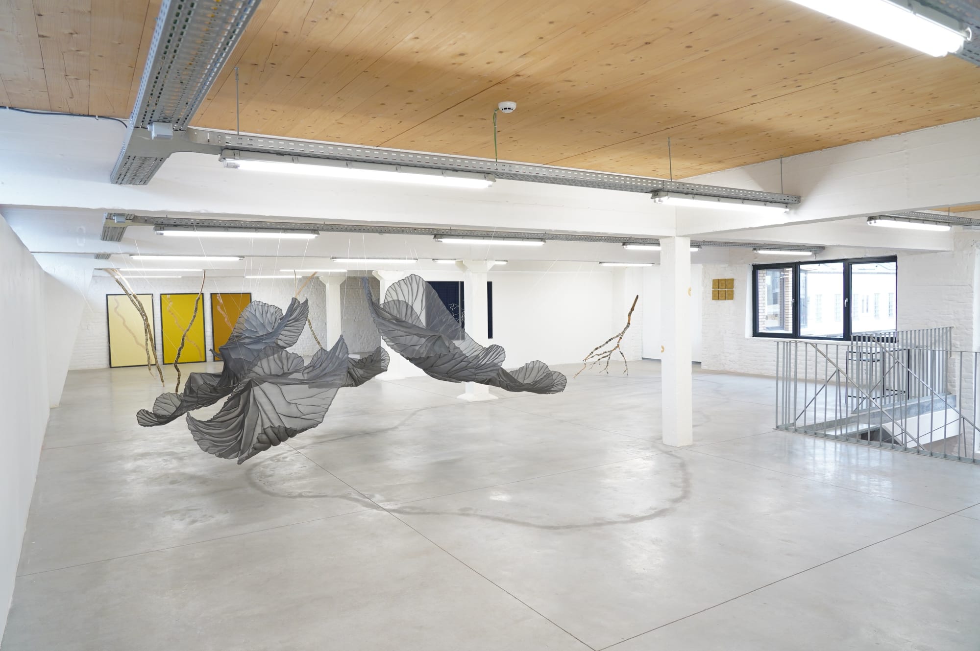 Isobel Church - Force Field