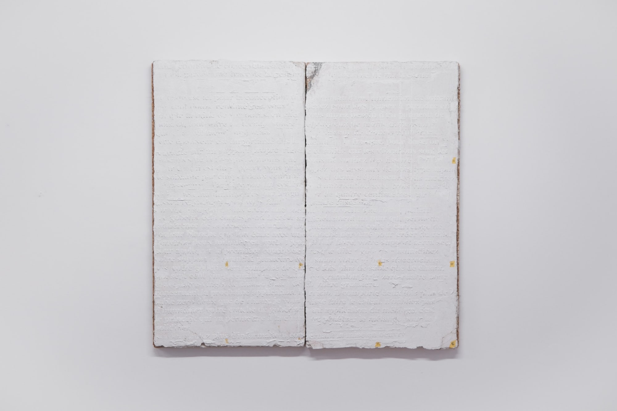 PERSEVERANCE IV - The Gentle Articulation of an Already Damaged Future -