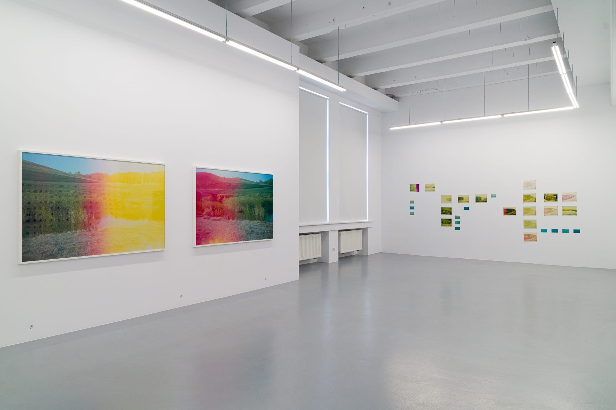 SINEGRAFIA: RĂZVAN NEAGOE