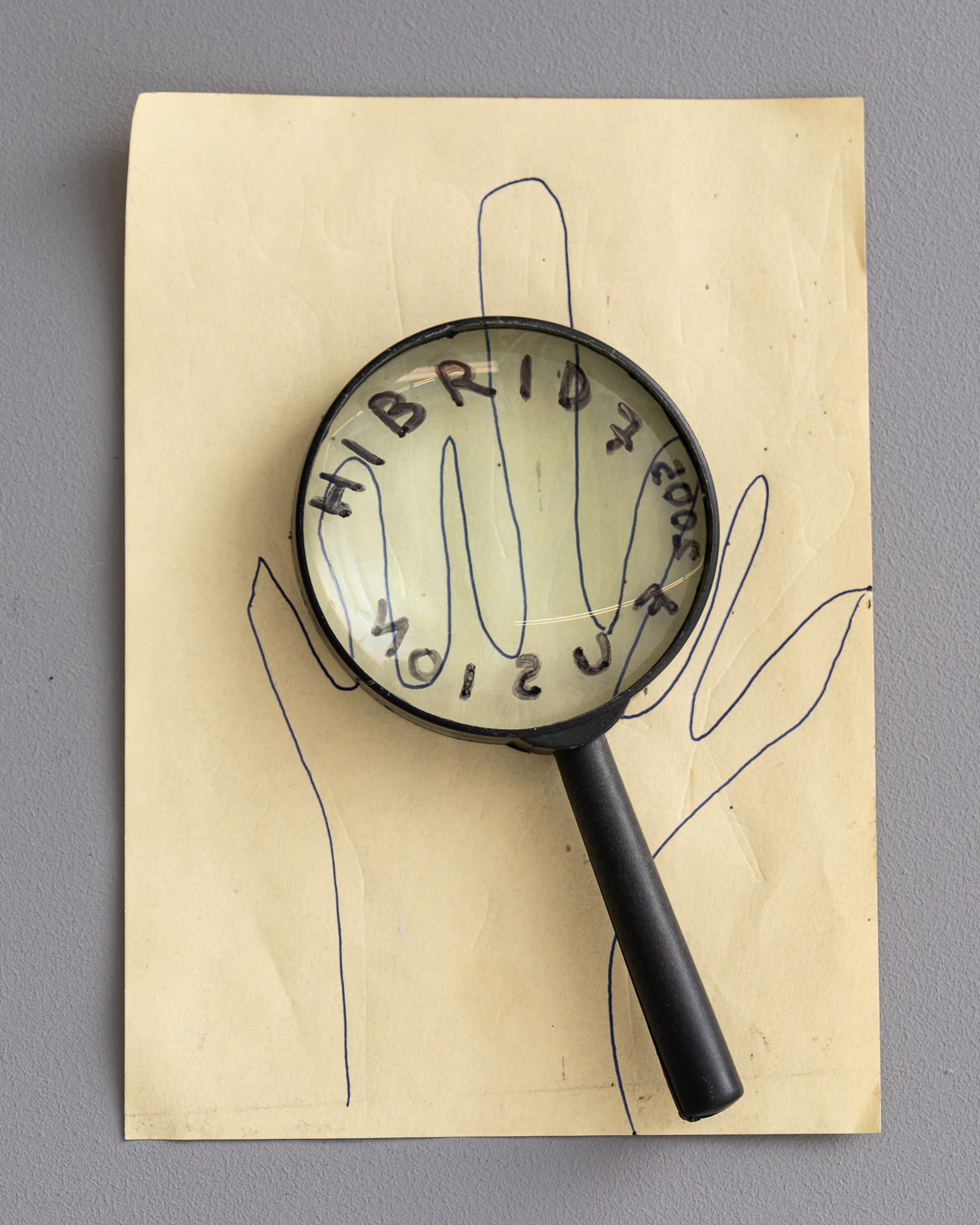 Bogdan Pelmuș Magnifying Glass, 2005 Hybrid 7 Fusion Hybrid Action