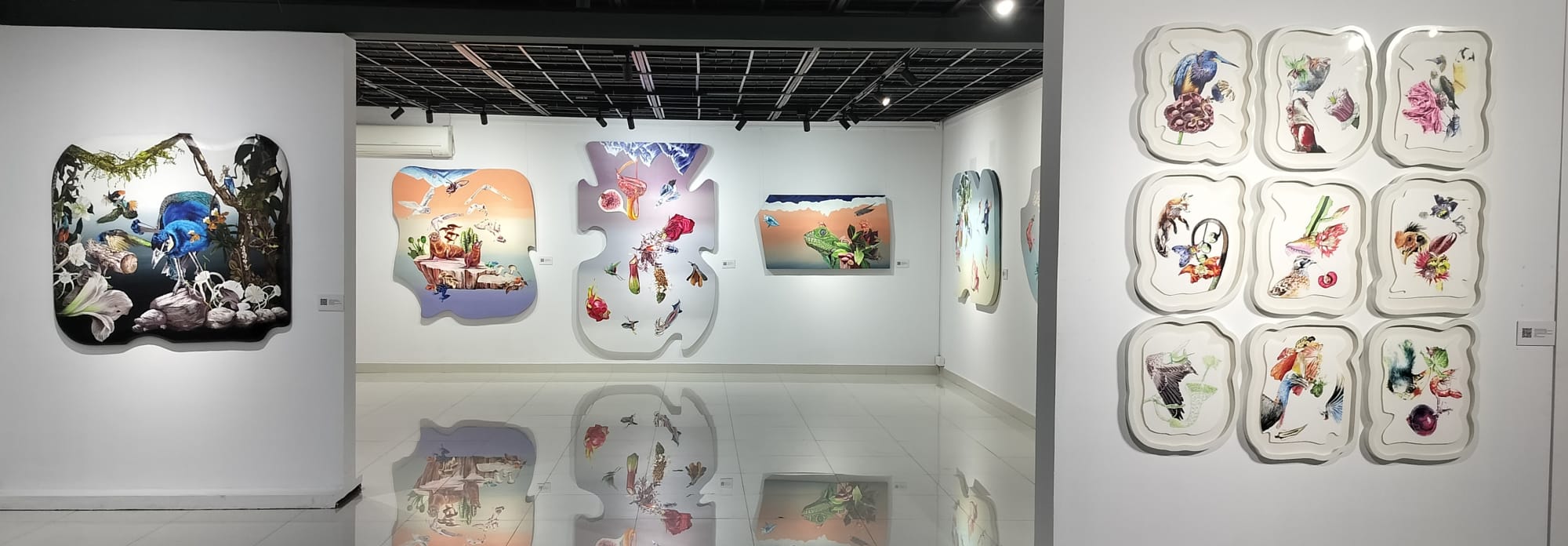 Disappearing Echoes of the Isolated