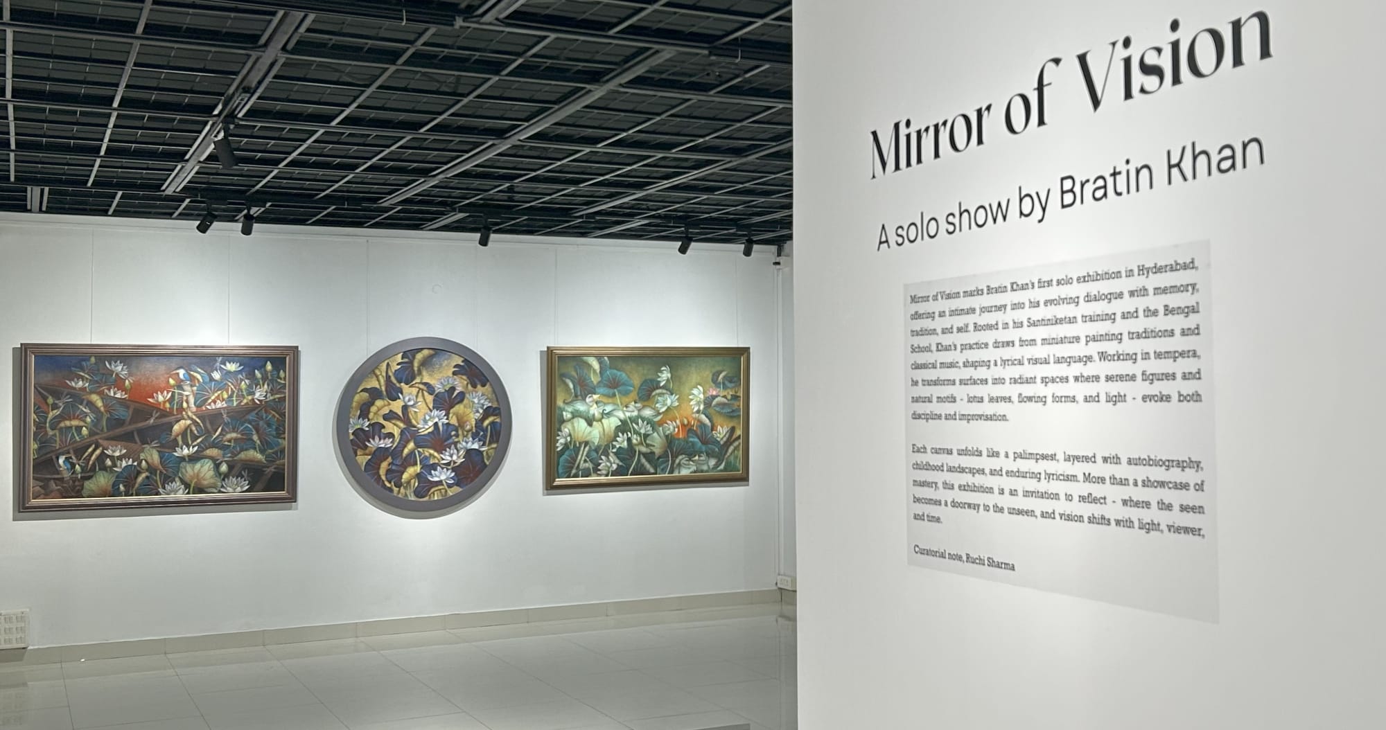 Mirror of Vision