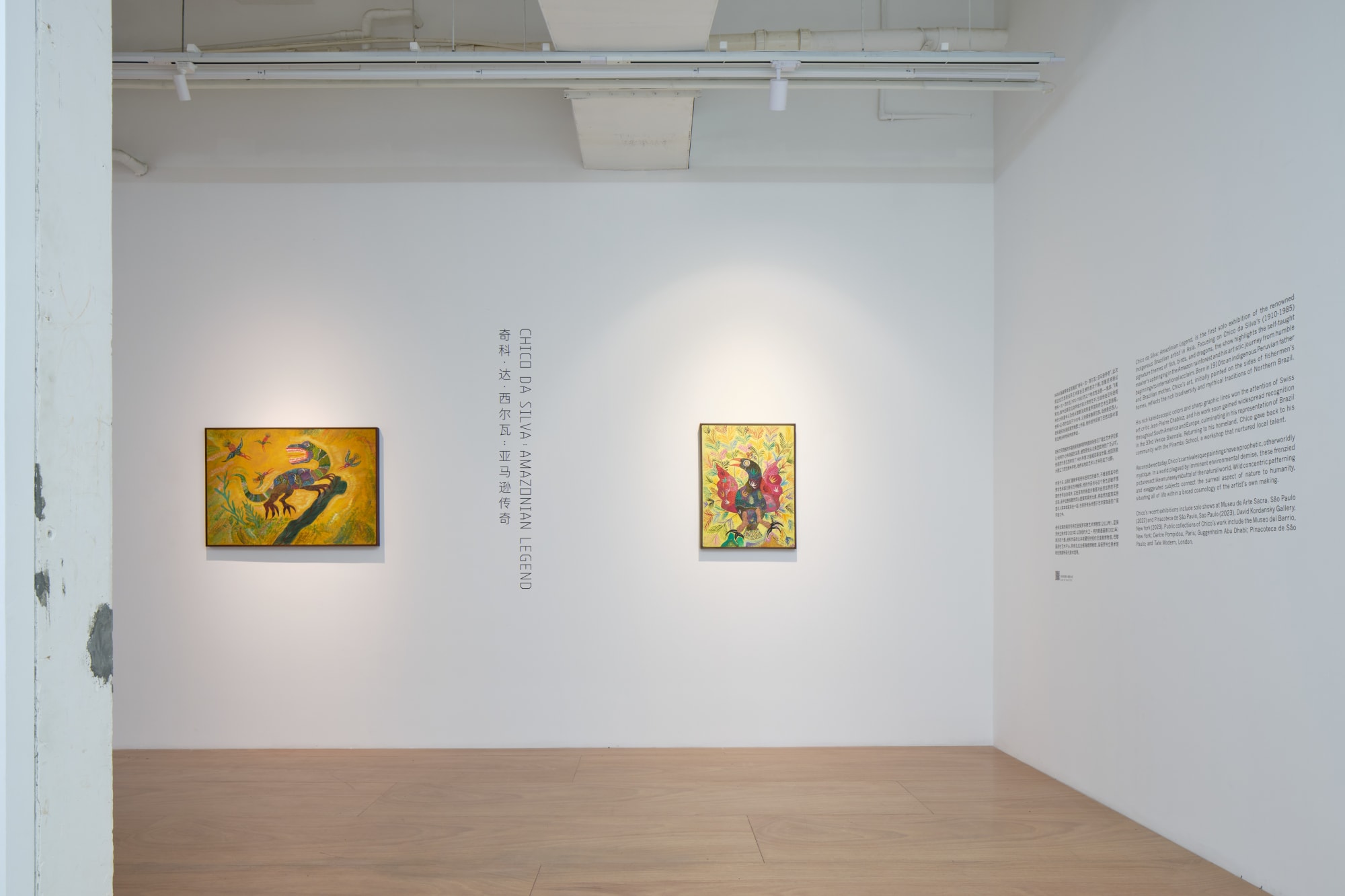 Chico da Silva: Amazônian Legend