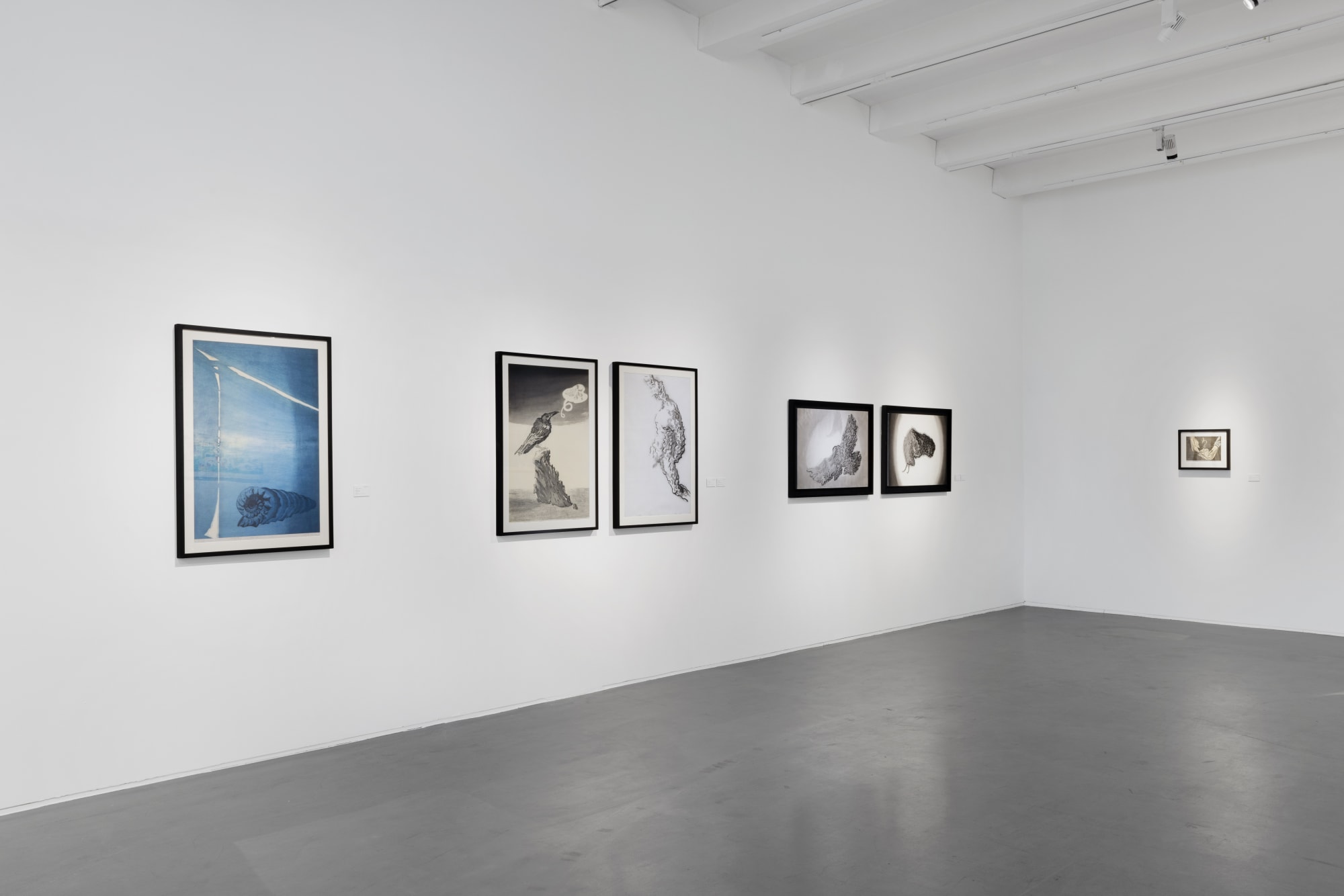 生長的理性—中國水印木刻青年計畫 · 2024年度展