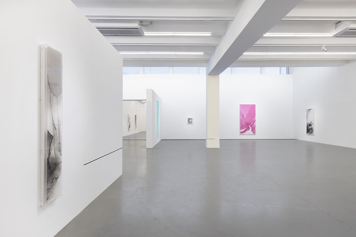 秦淮河里舀了—碗水 · 沈勤