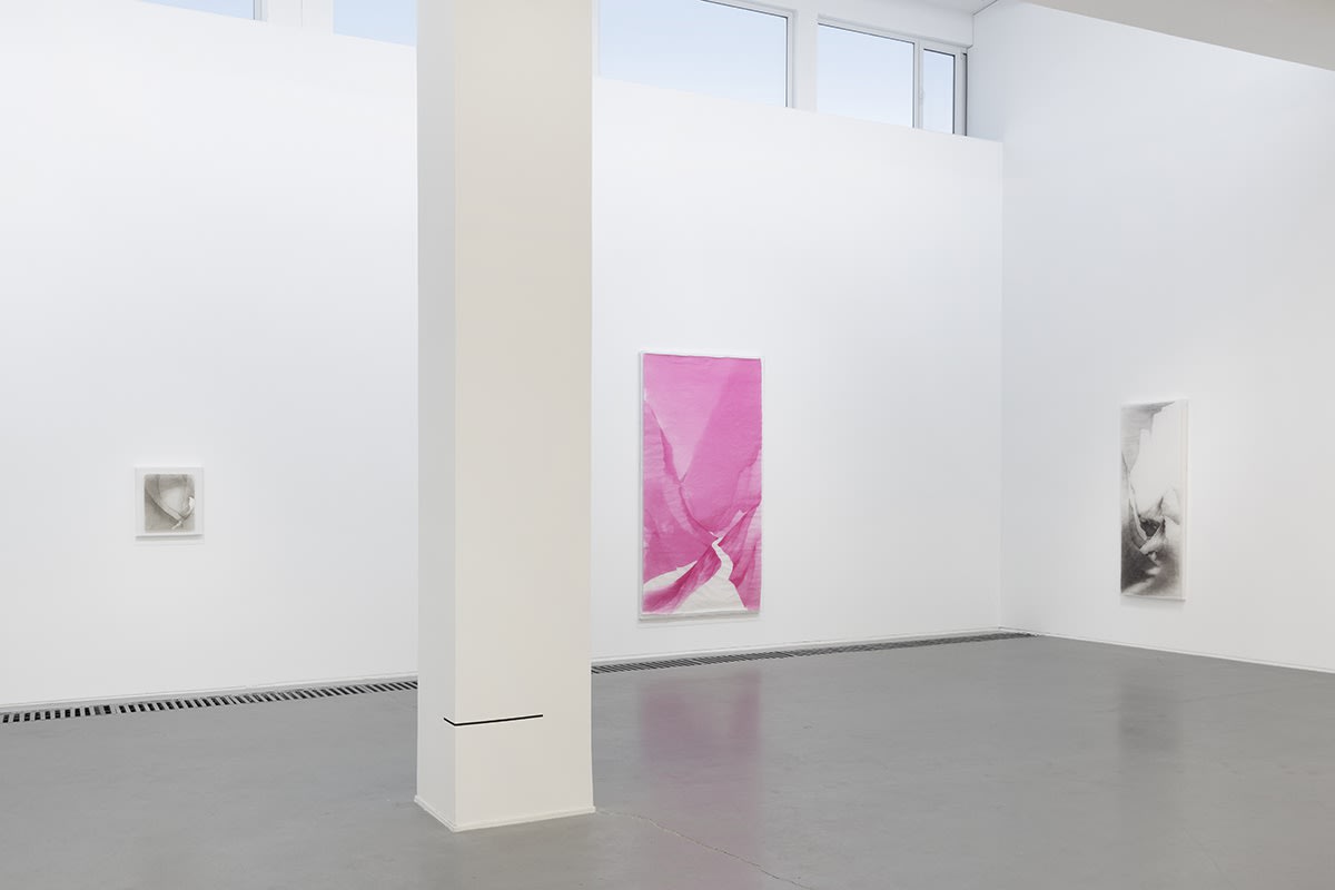 秦淮河里舀了—碗水 · 沈勤