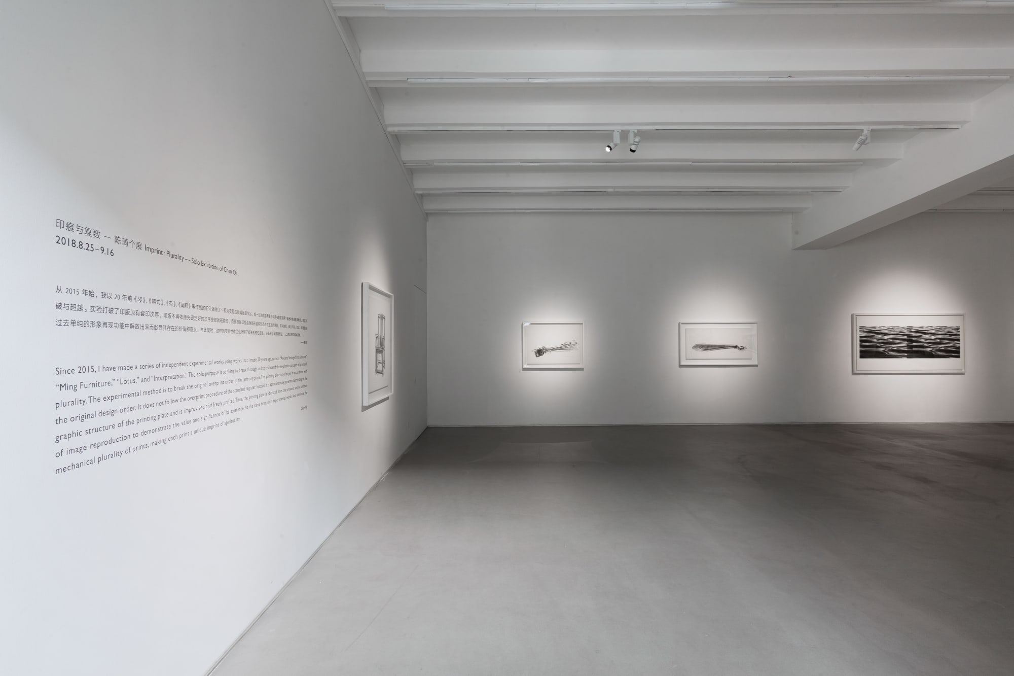 印痕與複數—陳琦個展