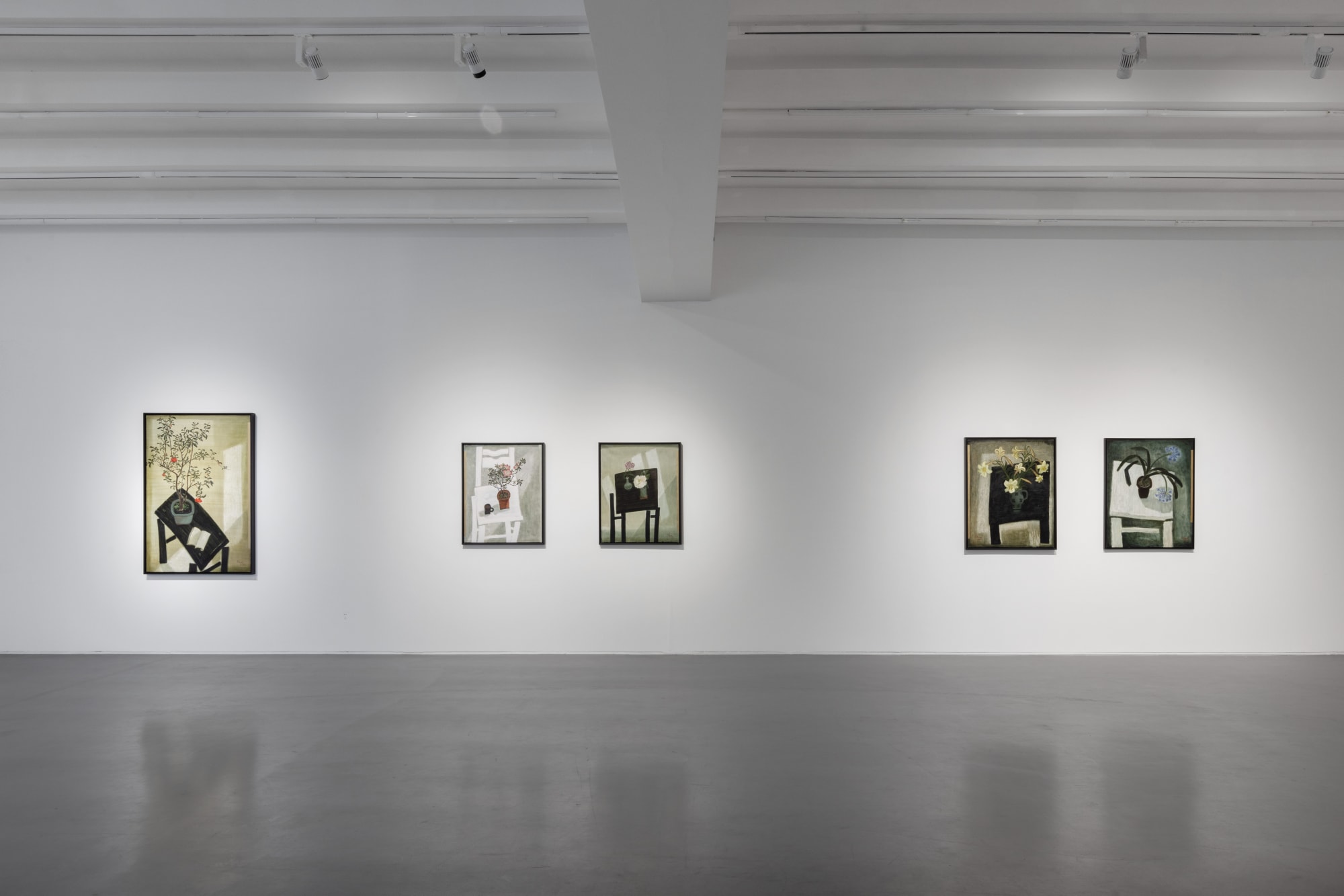 平淡清澈 · 湛静有光—2024董小蕙老院子与静物系列个展