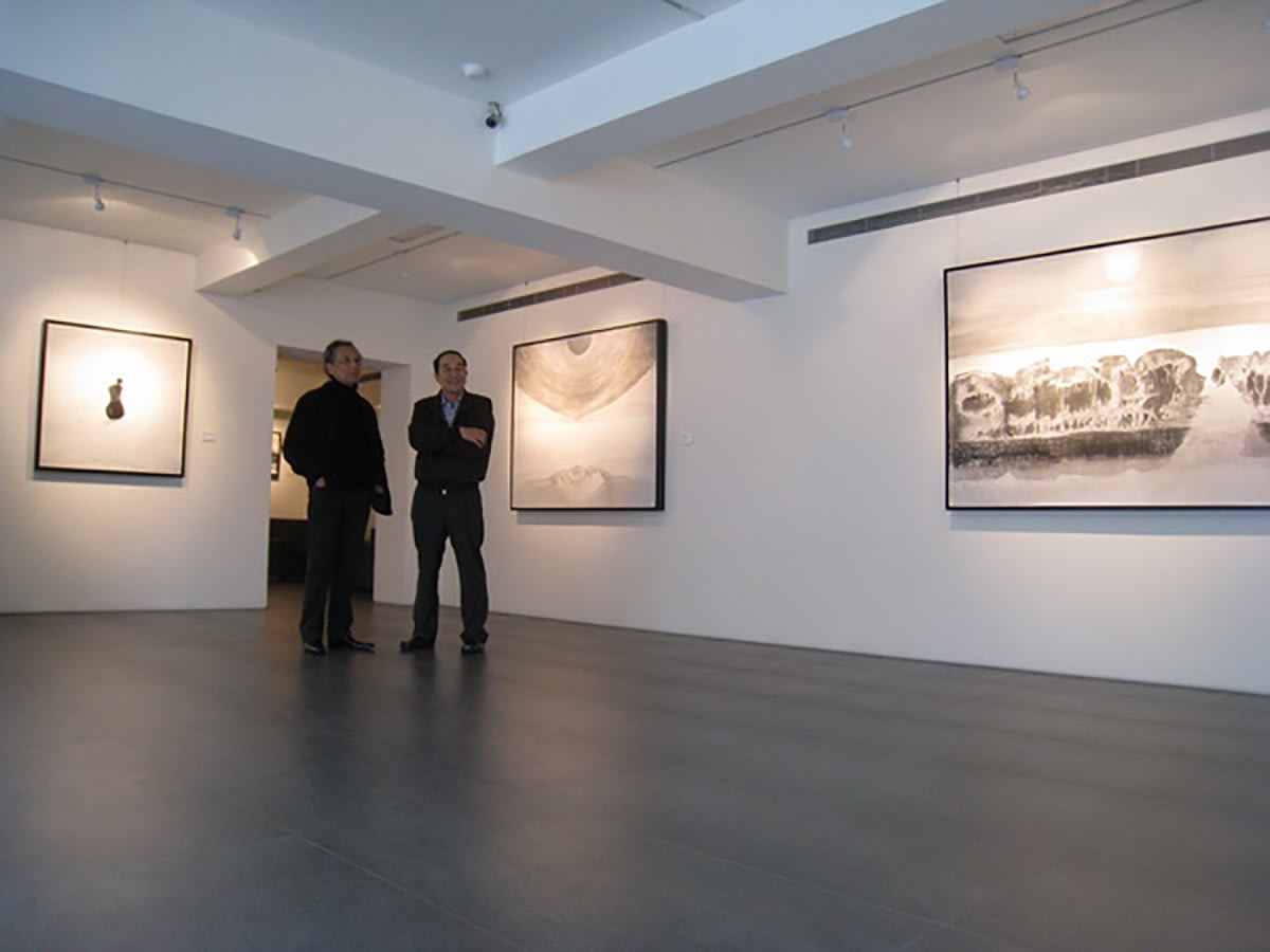 Light and Shadow: 2010 Exhibition of Recent Works by Gao Xingjian