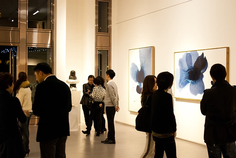 無限—毛栗子個展