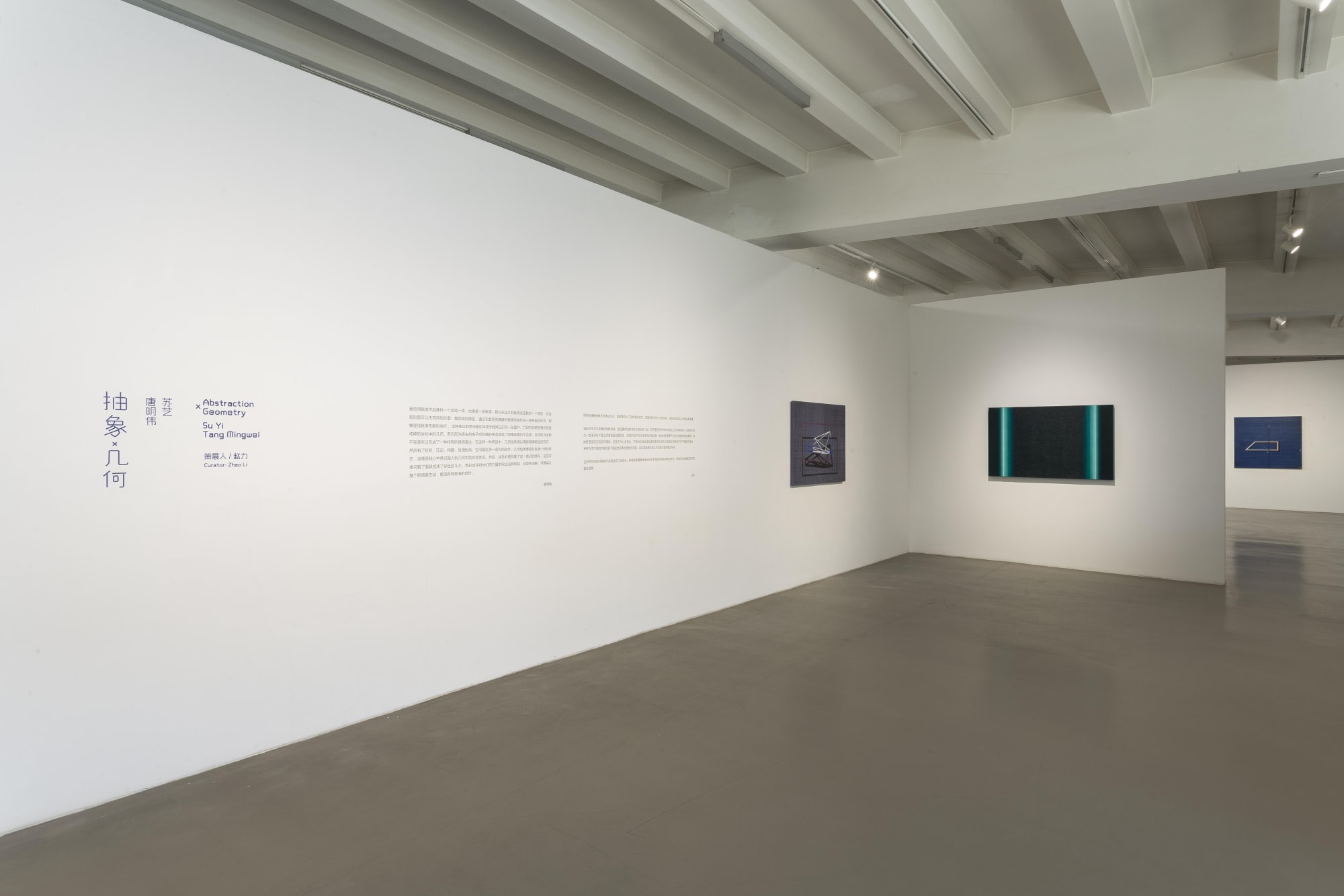抽象與幾何—蘇藝、唐明偉雙個展