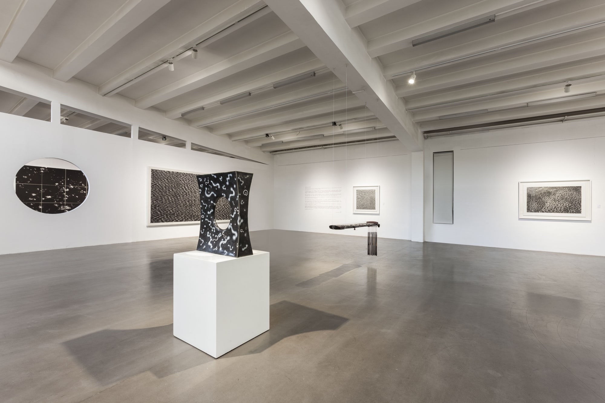 Art Works by Shen Qin & Chen Qi