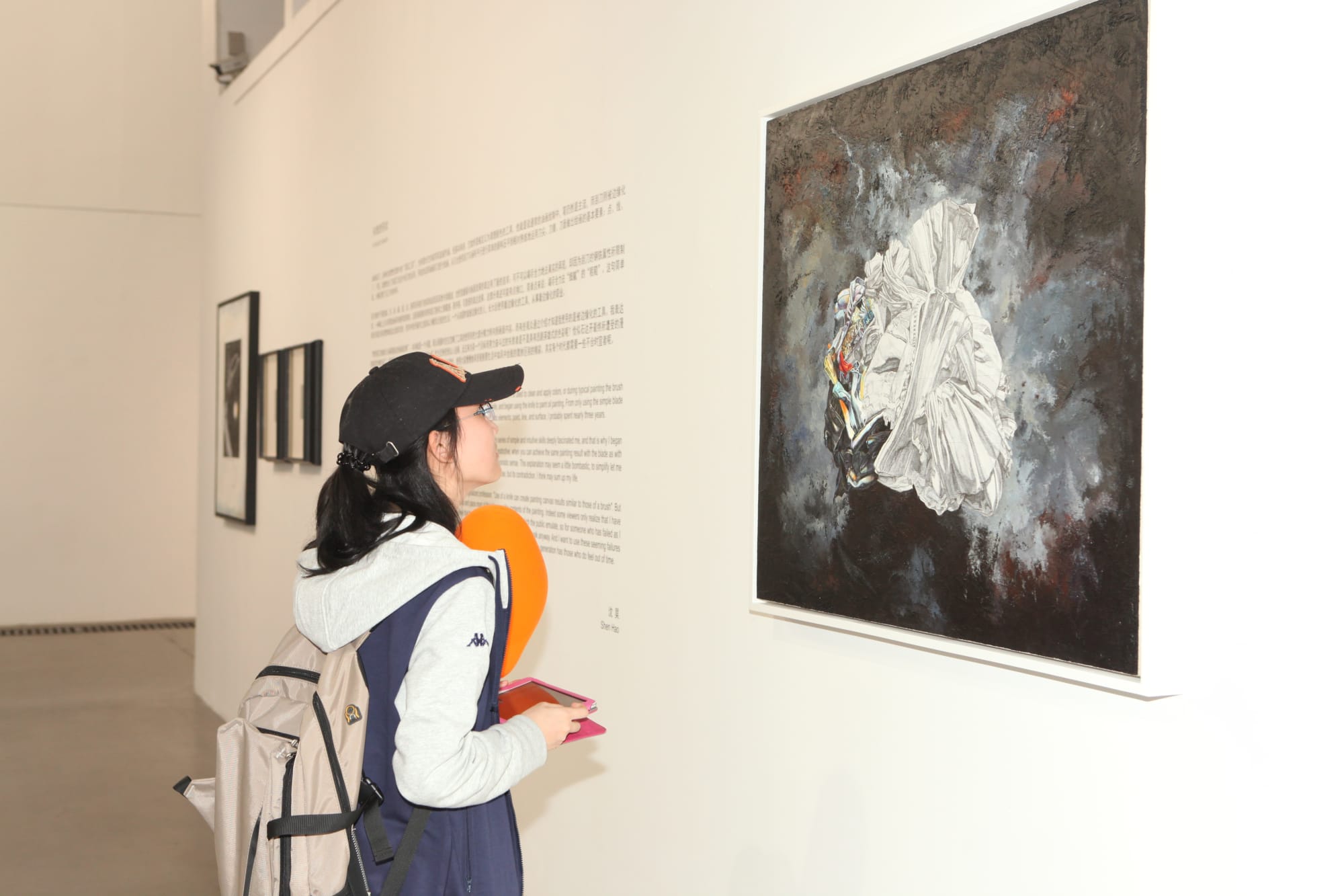 截选自—沈昊2014个展