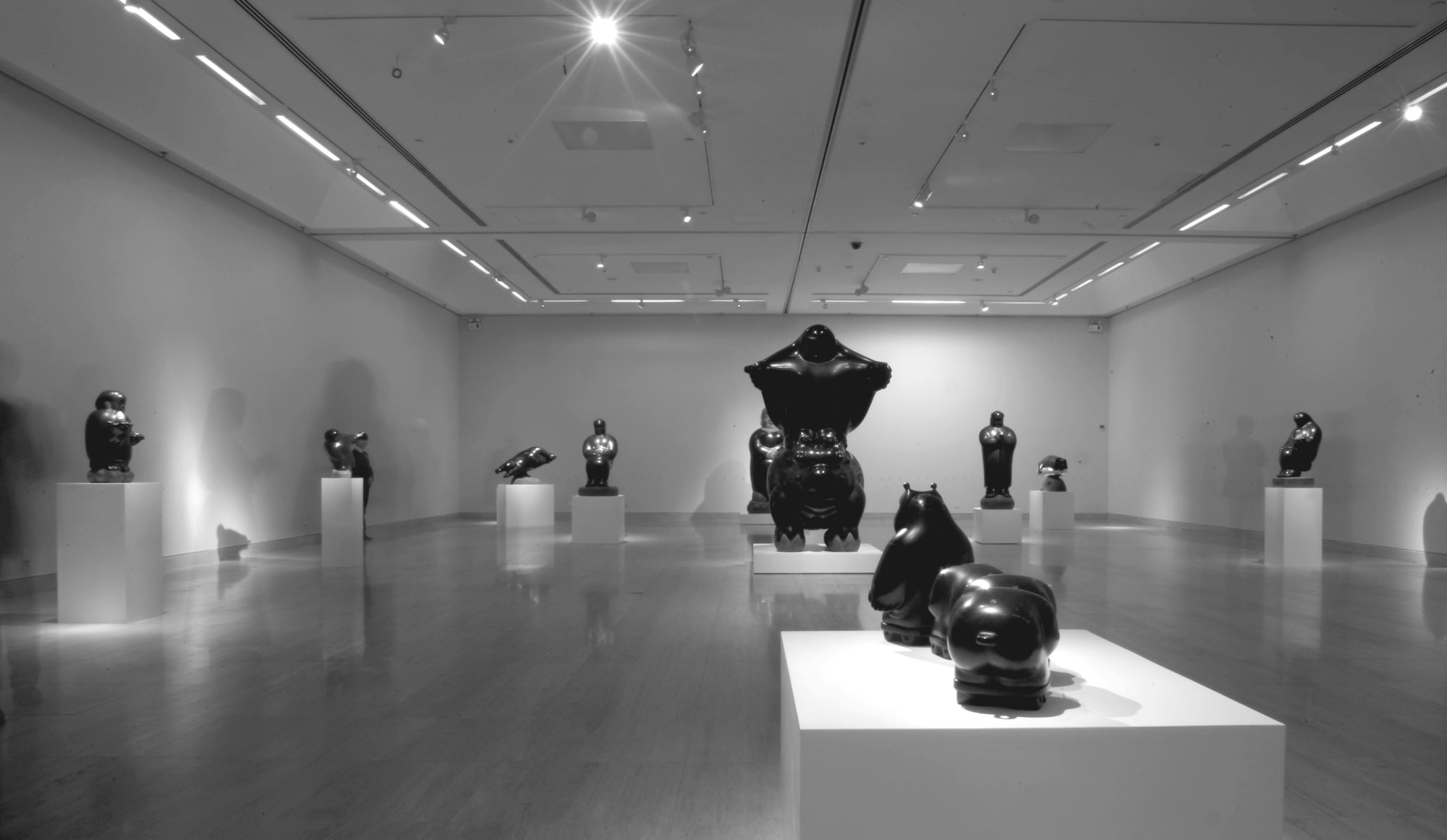 Li Chen 2008 Solo Exhibition at National Art Museum of China: In Search of Spiritual Sapce