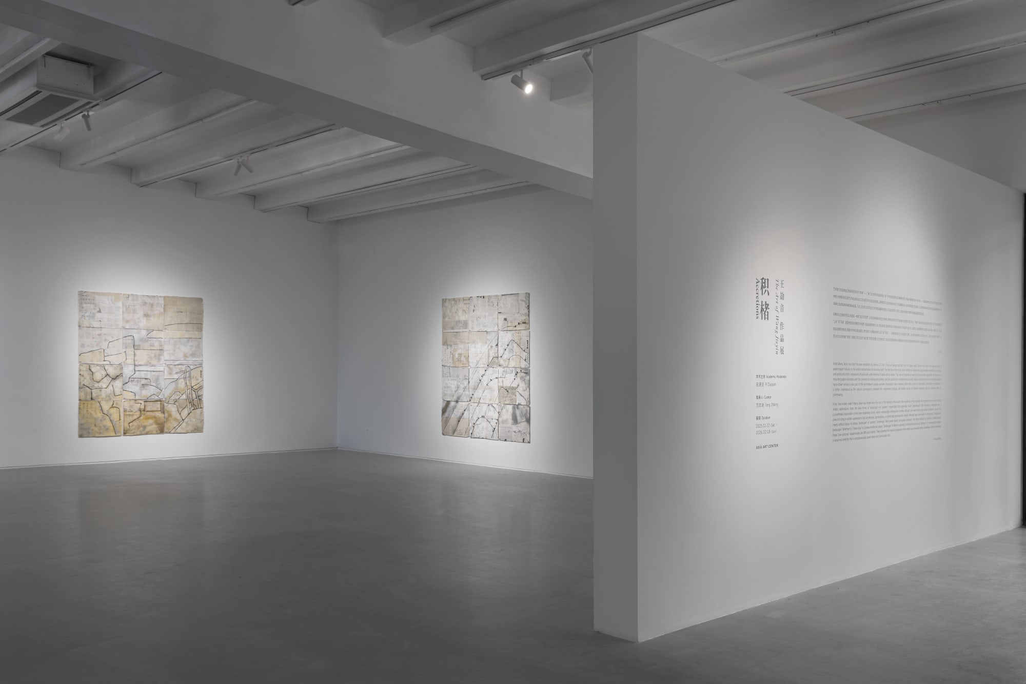 Accretions: The Art of Wang Jieyin