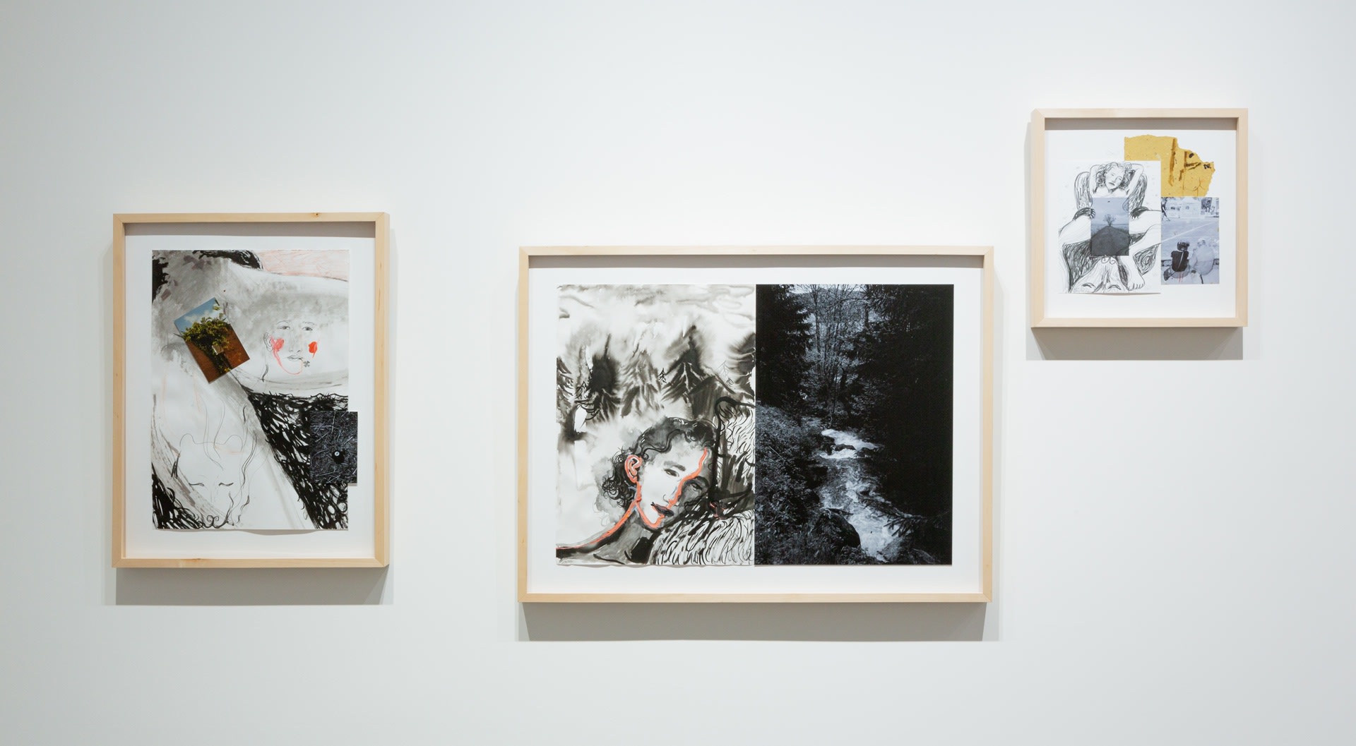 Growing Season: Katarina Janečková Walshe Solo Exhibition