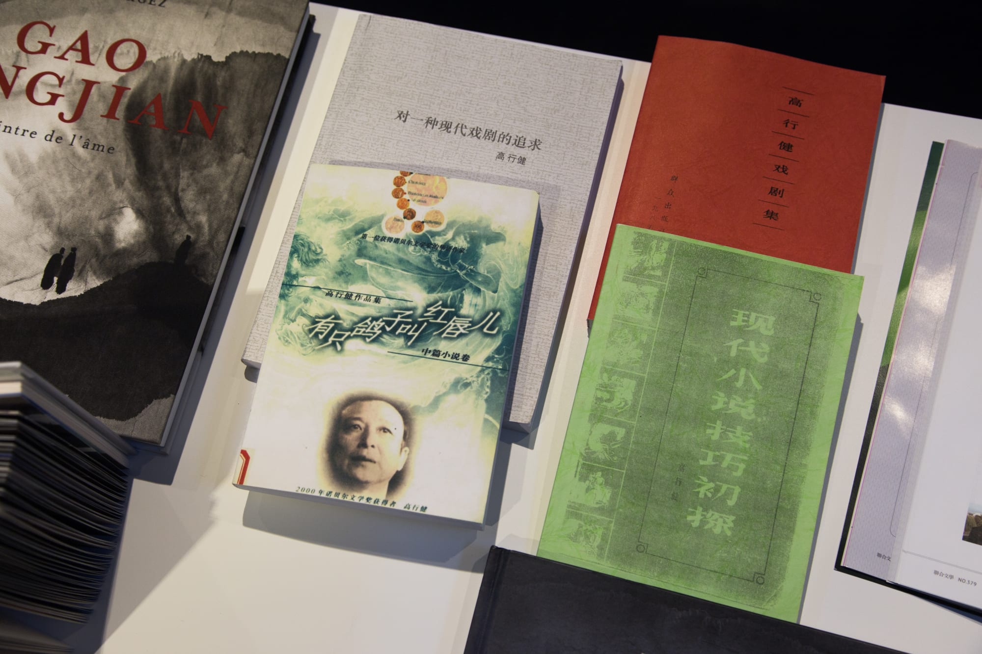 呼喚文藝復興—高行健個展