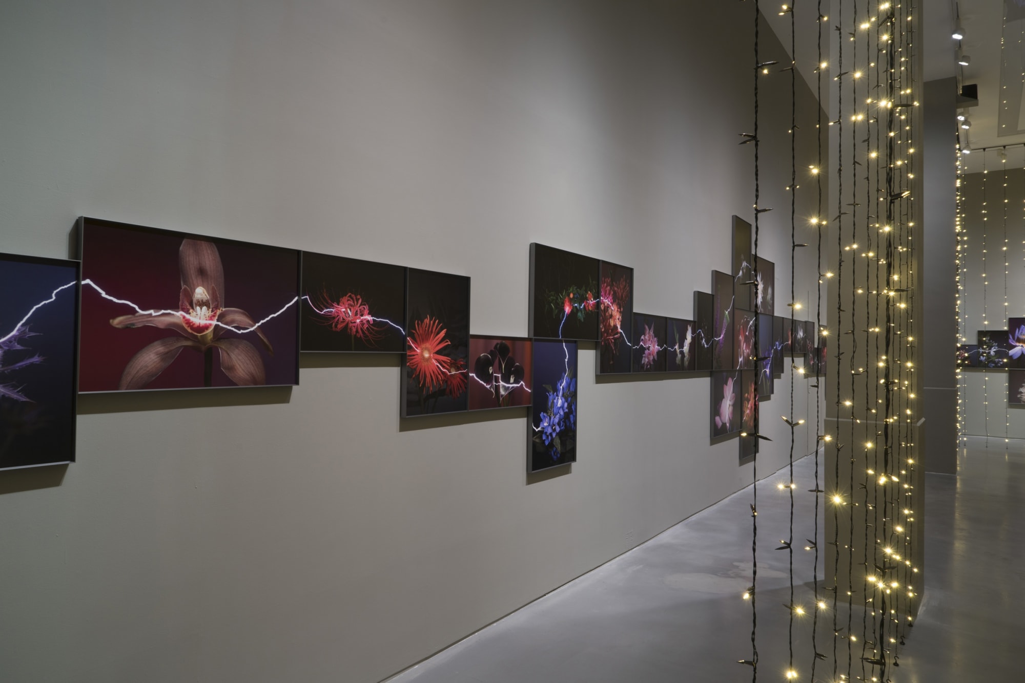 越界—胡为一个展