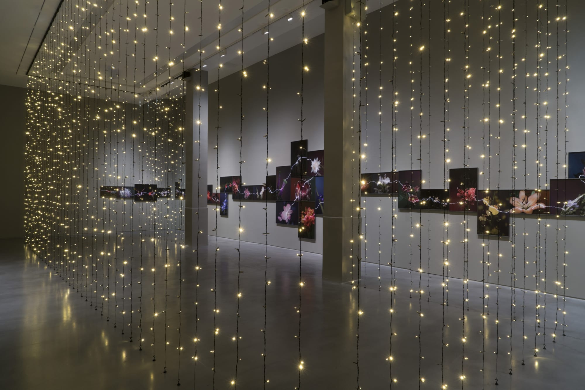 越界—胡為一個展