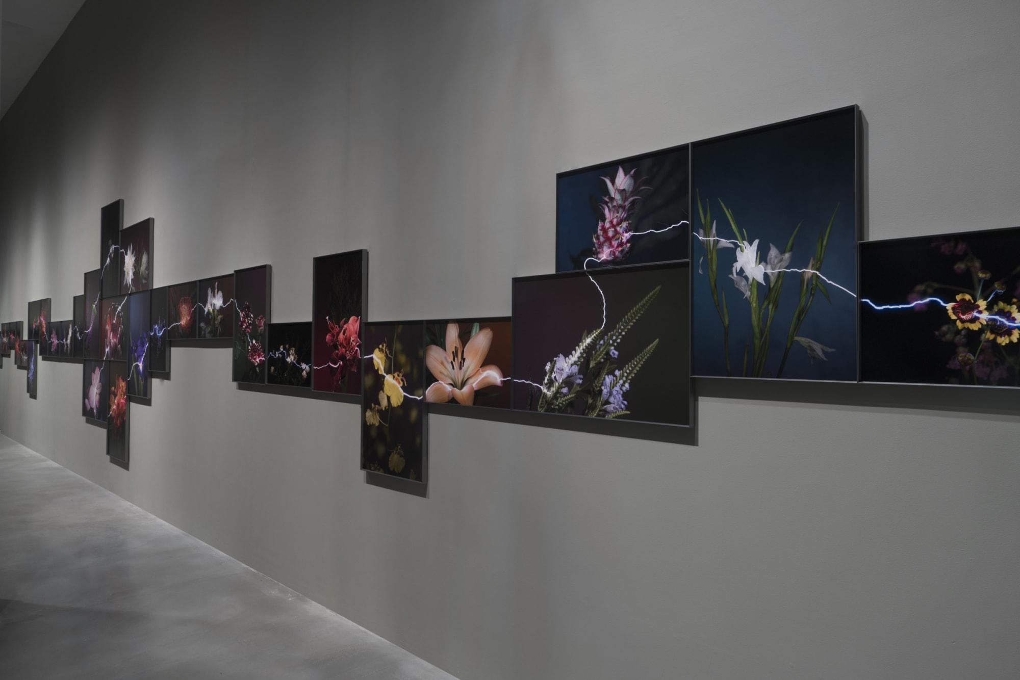 越界—胡為一個展