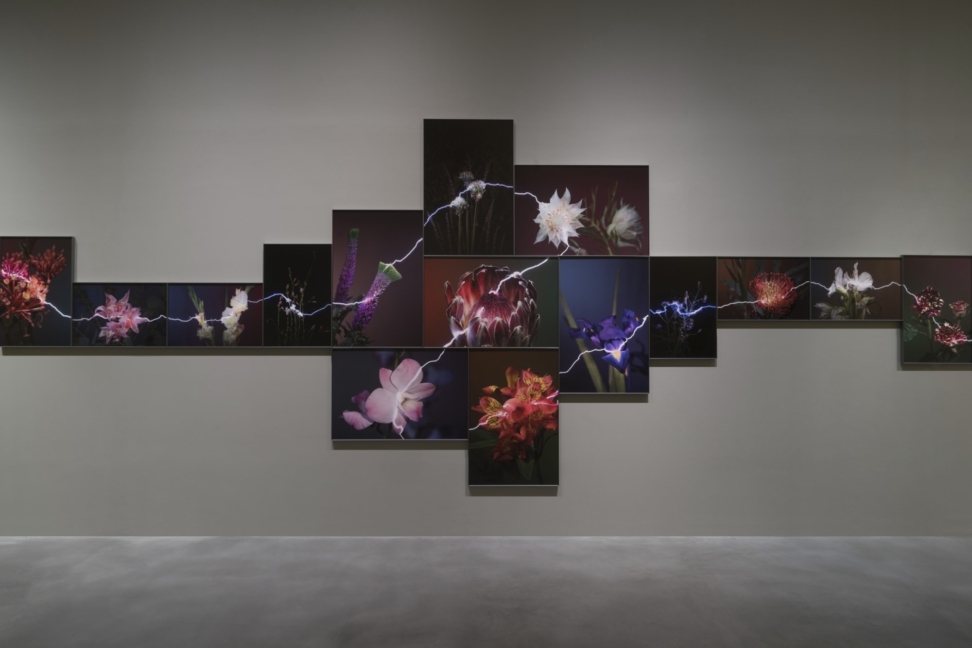 越界—胡為一個展