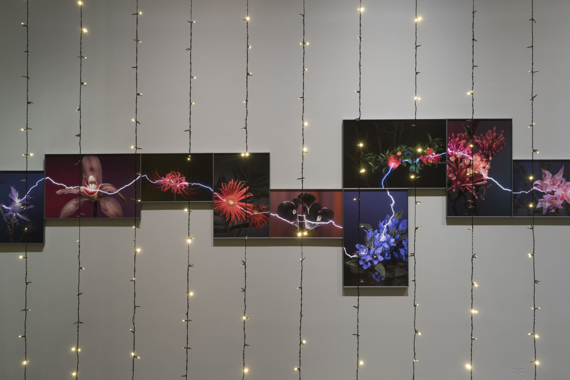 越界—胡為一個展