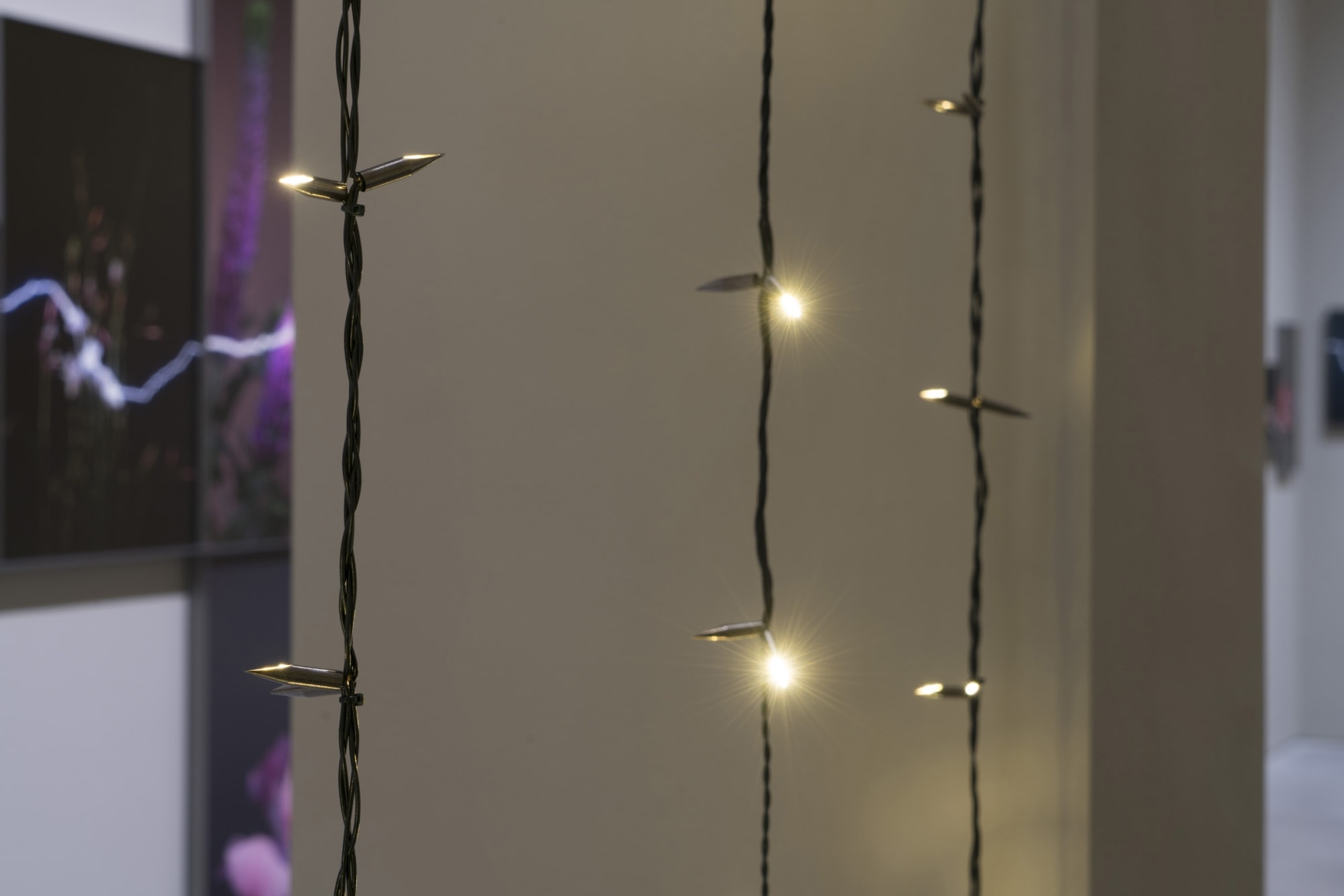 越界—胡为一个展