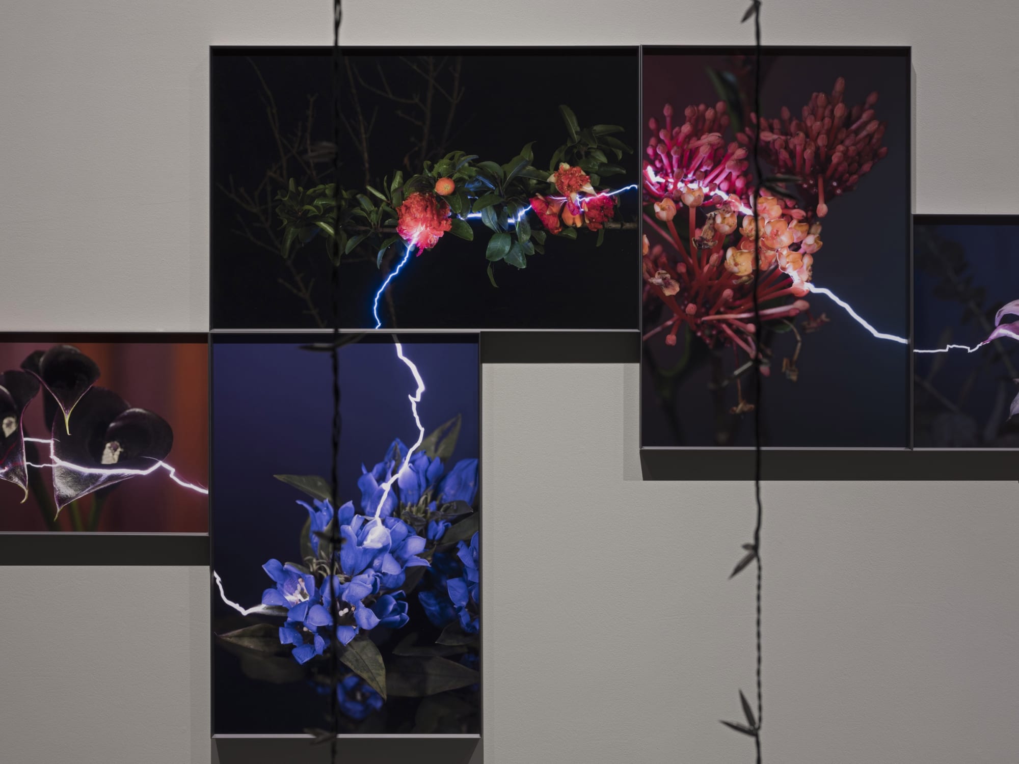 Intersecting- Hu Weiyi