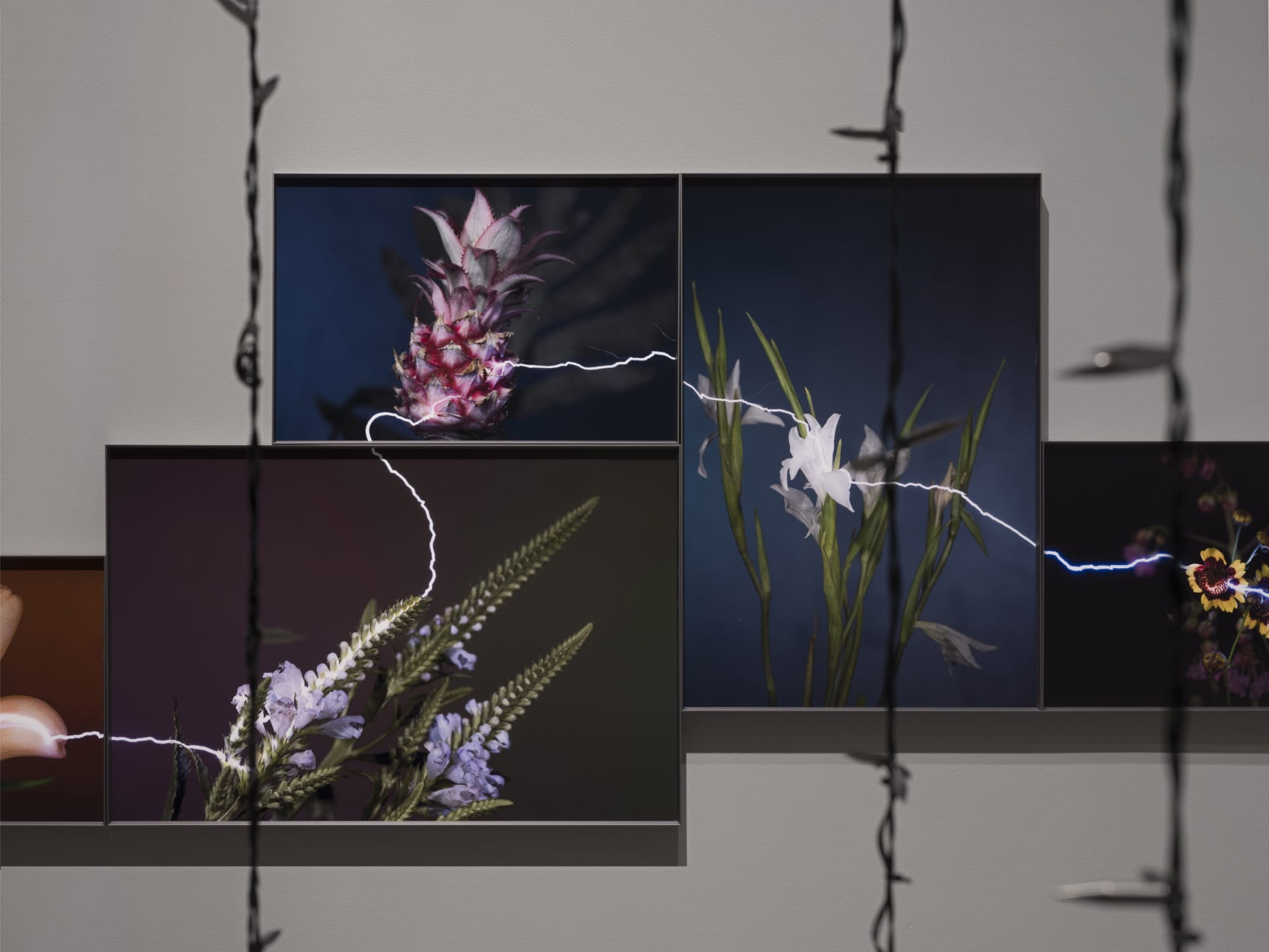 越界—胡为一个展