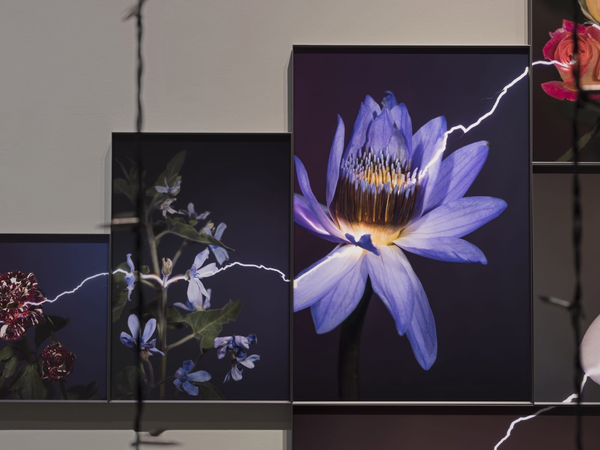 越界—胡為一個展