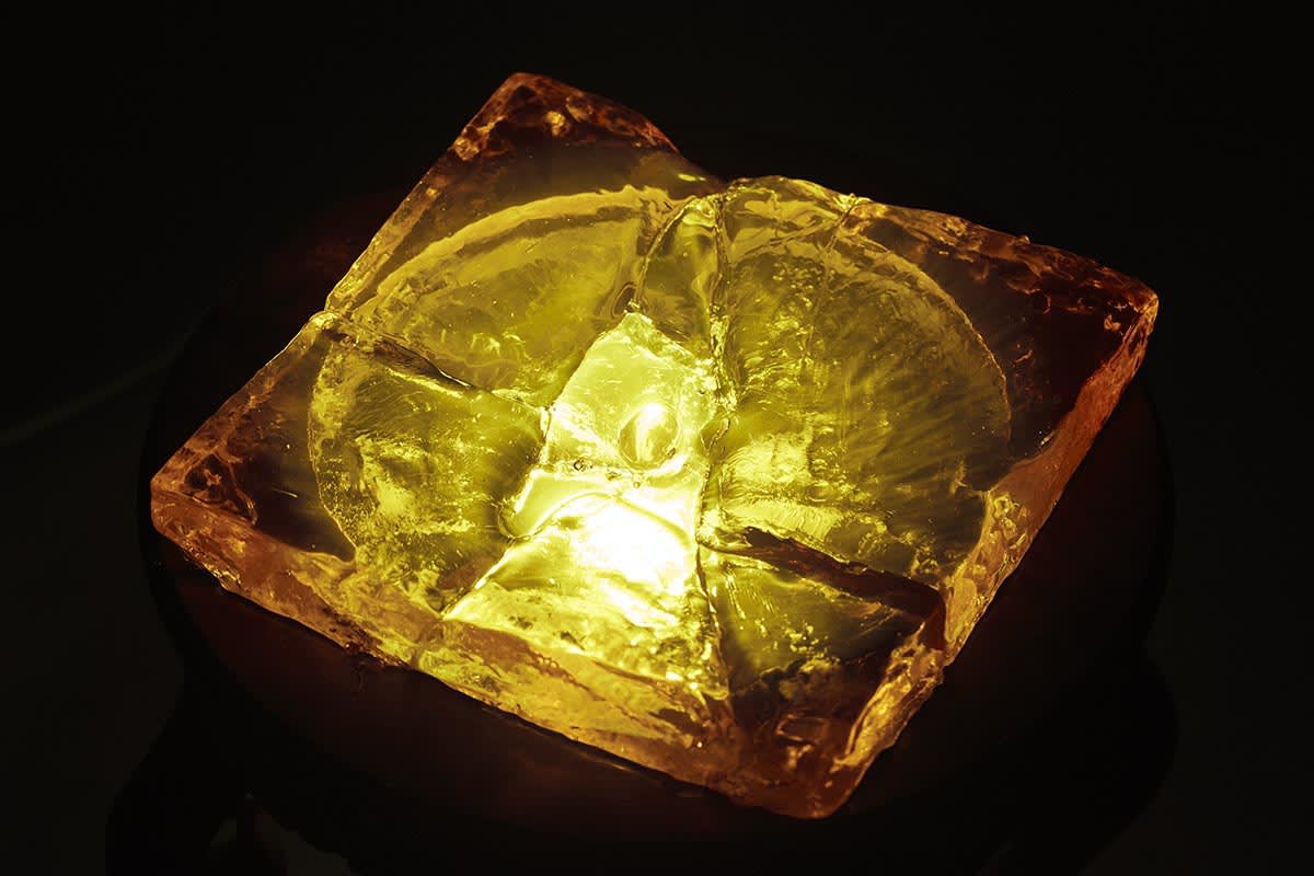 荔枝姑娘—毛晨雨個展