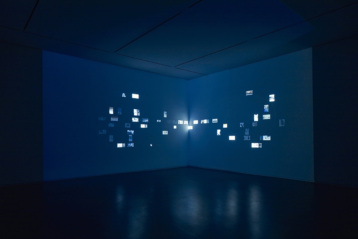 介質標本—鄭文昕個展