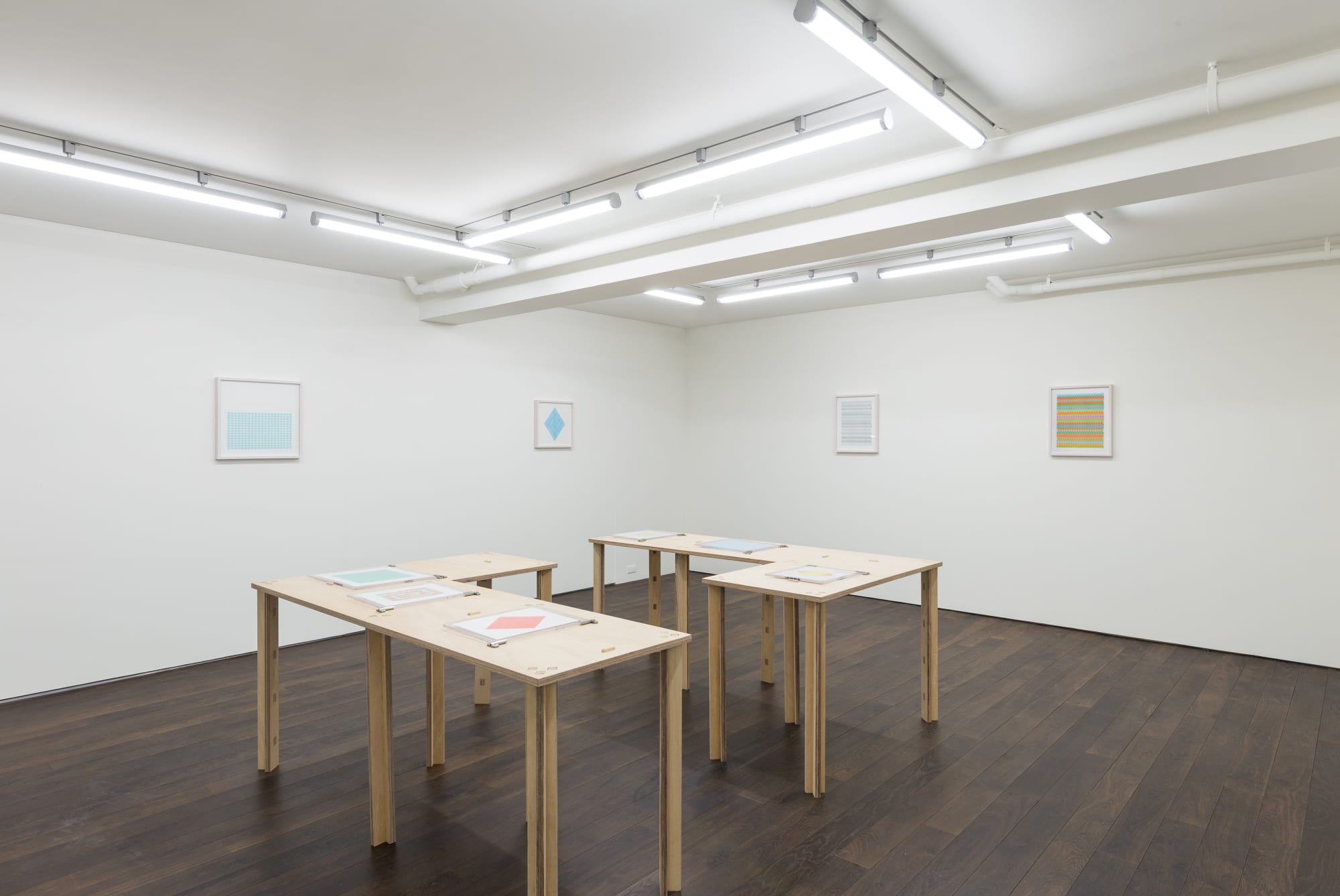 可見之光—董大為個展