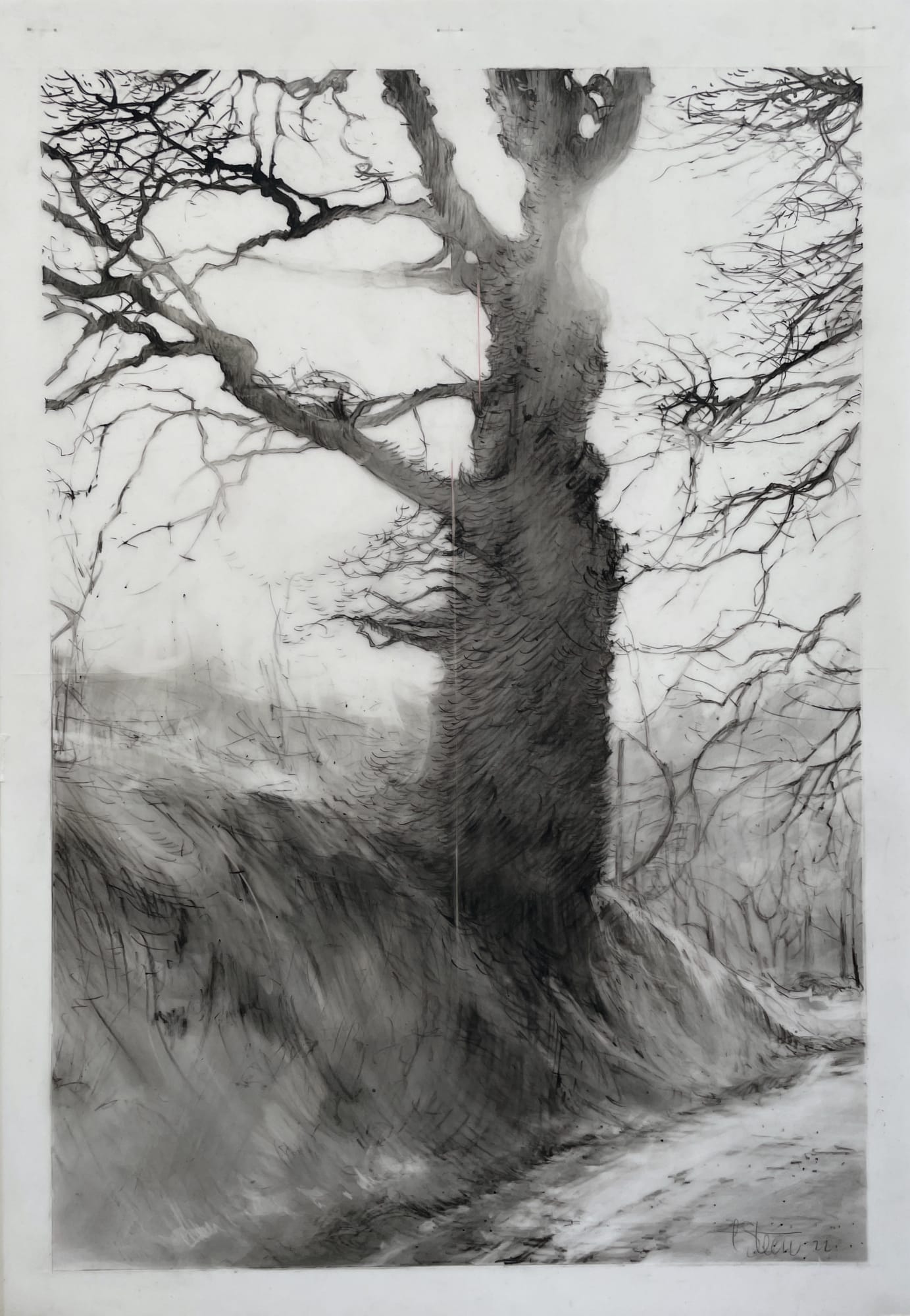 Laurie Steen, all the leaves, drawing 23-22