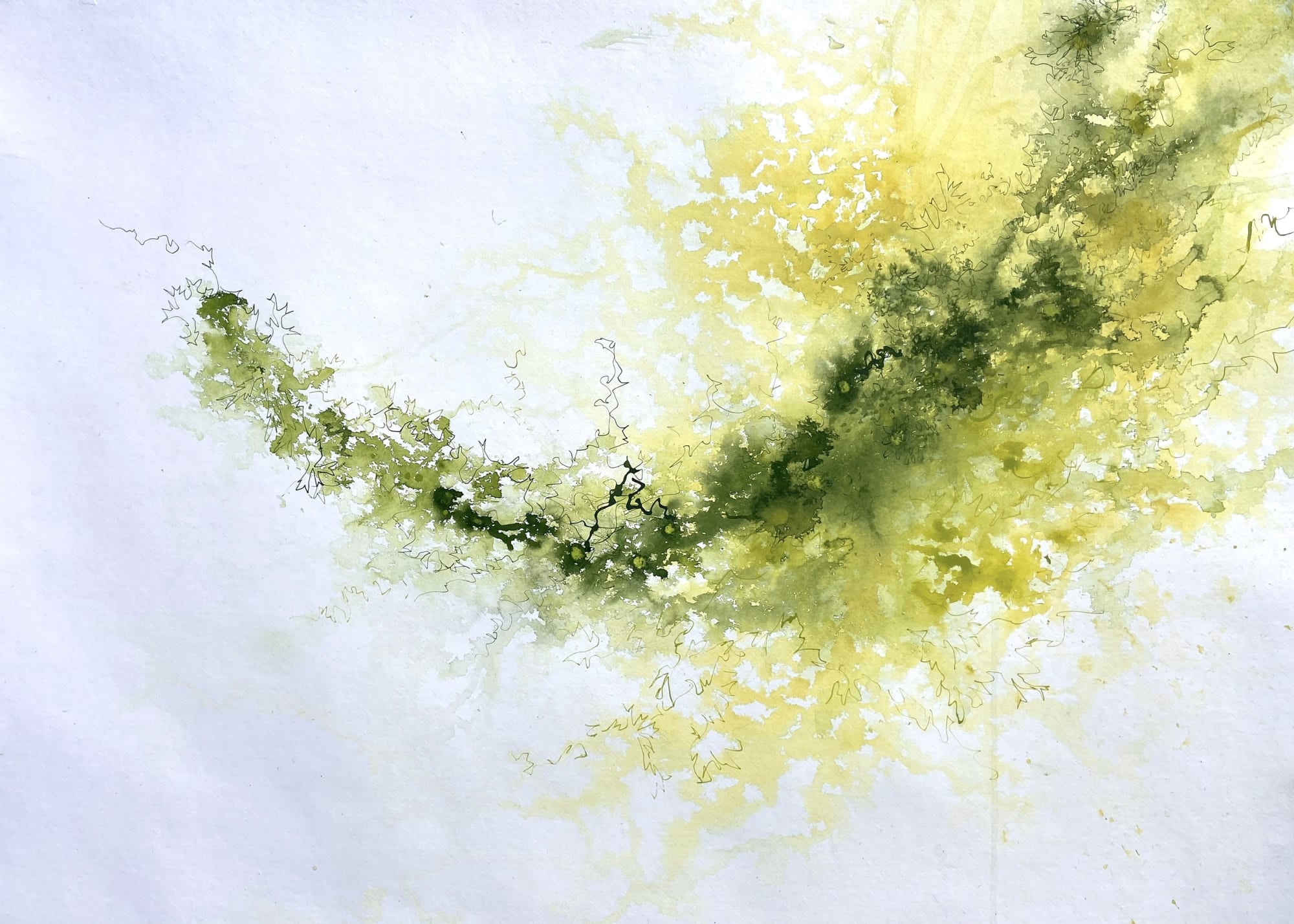 Lisa Fenton O'Brien