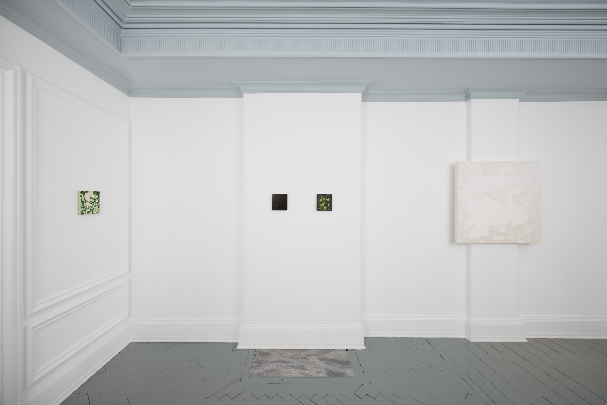 Seraphina Mutscheller