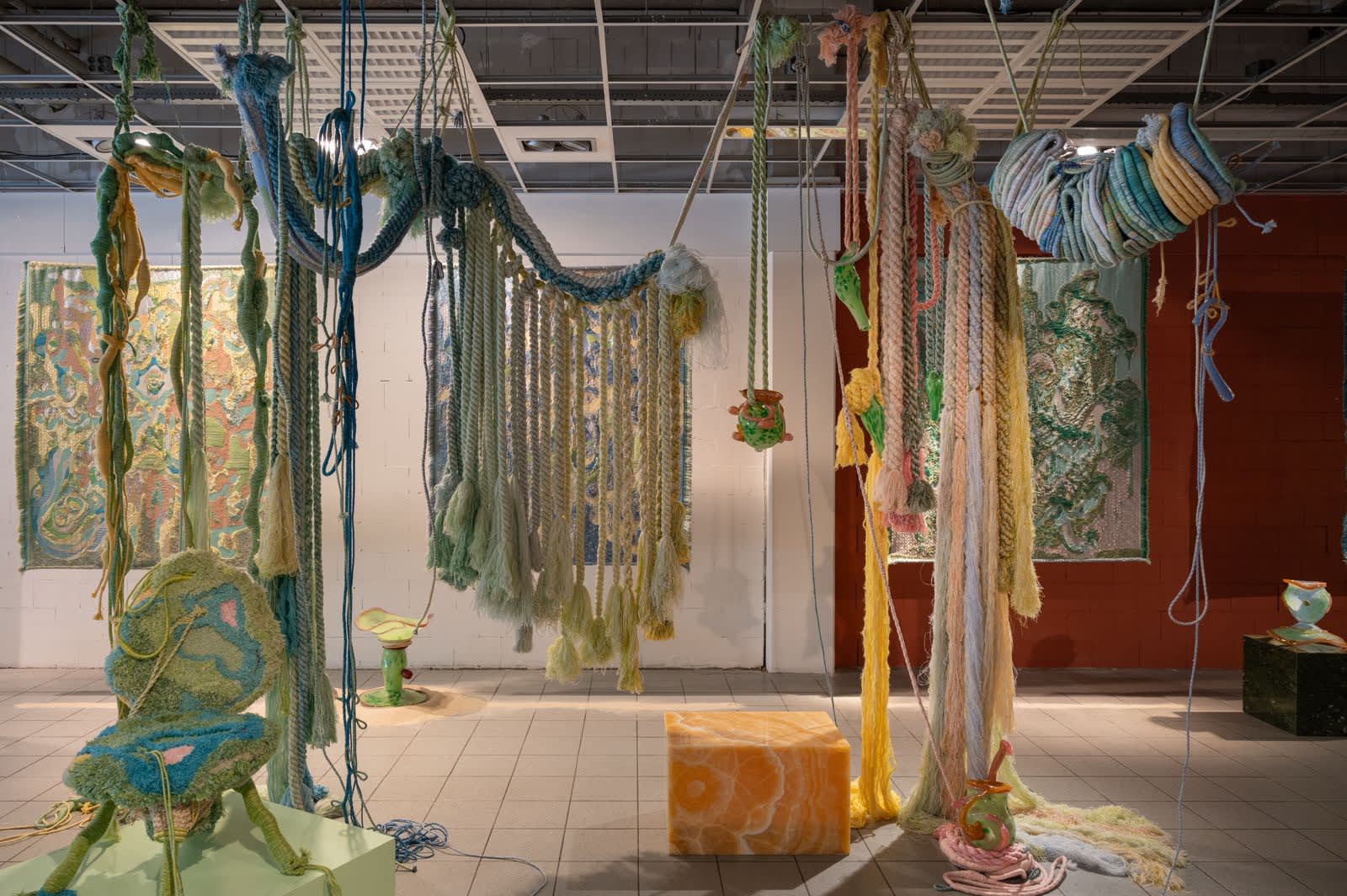 Current exhibition: A Liminal Nature