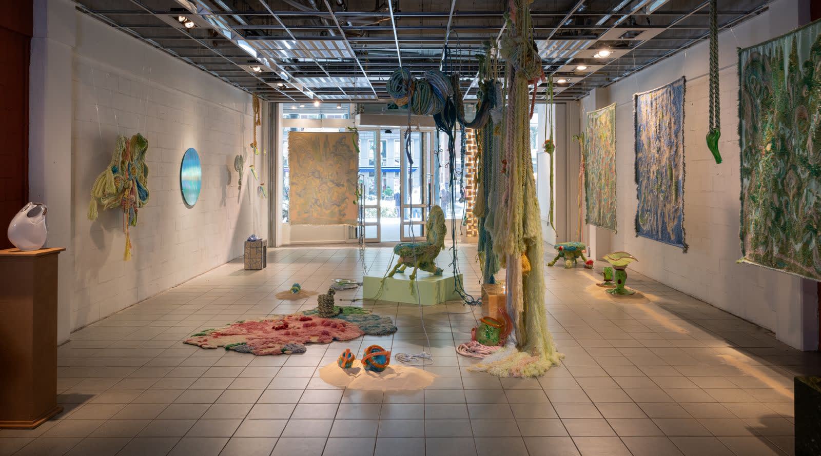 Current exhibition: A Liminal Nature