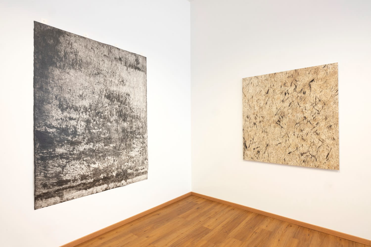 Erin Wiersma, Konza Works on Paper