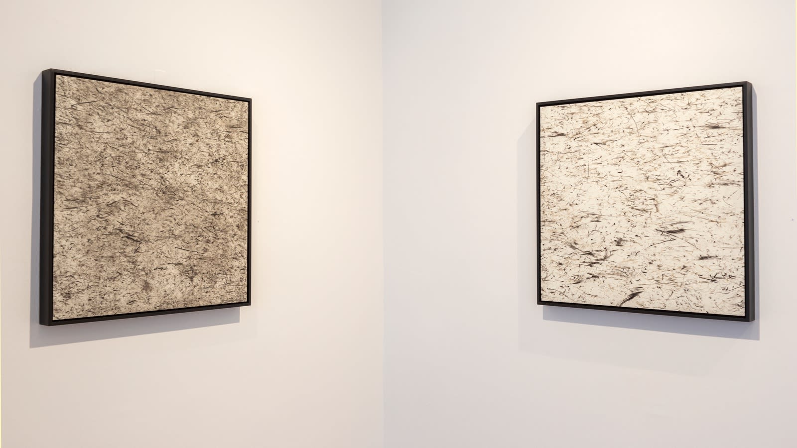 Ausstellungsansicht: After the burn, Konza Prairie Drawings, Erin Wiersma, 2022