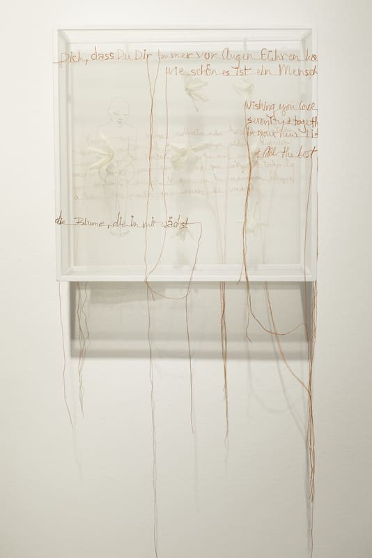 Transparenzen • Sheila Furlan