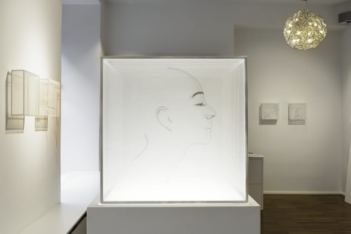 Transparenzen • Sheila Furlan