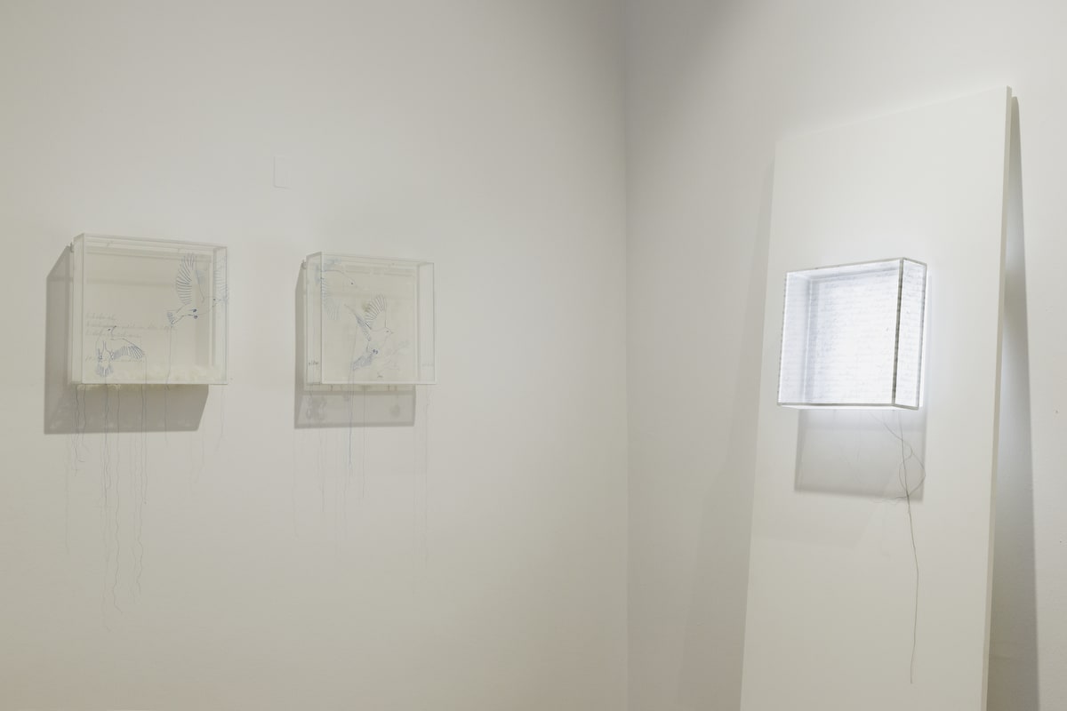 Transparenzen • Sheila Furlan