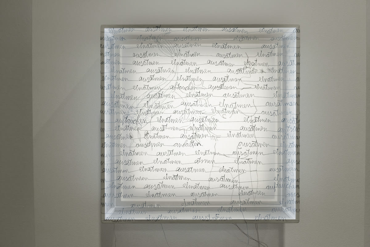 Transparenzen • Sheila Furlan