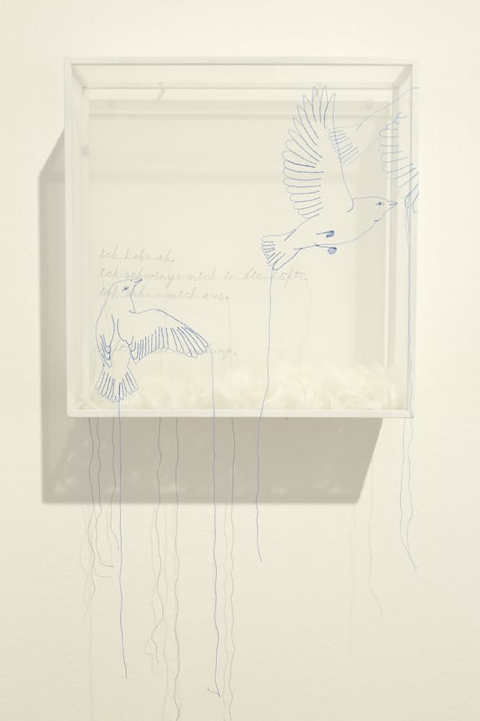 Transparenzen • Sheila Furlan