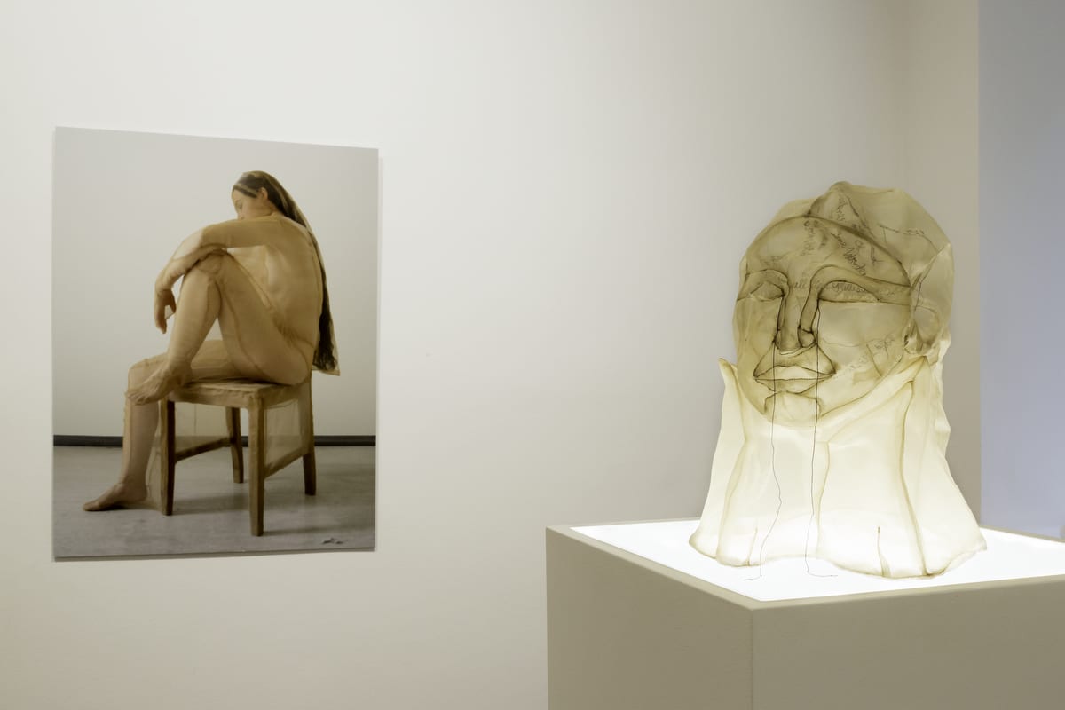 Transparenzen • Sheila Furlan