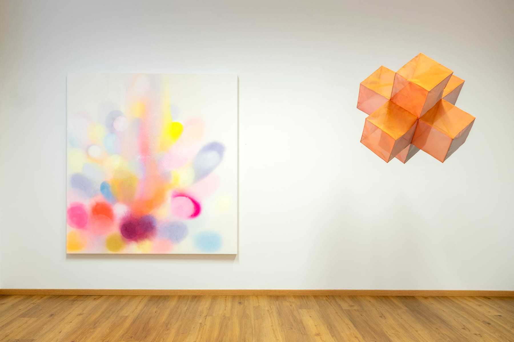 some emotional transitions: Sheila Furlan • Margit Hartnagel